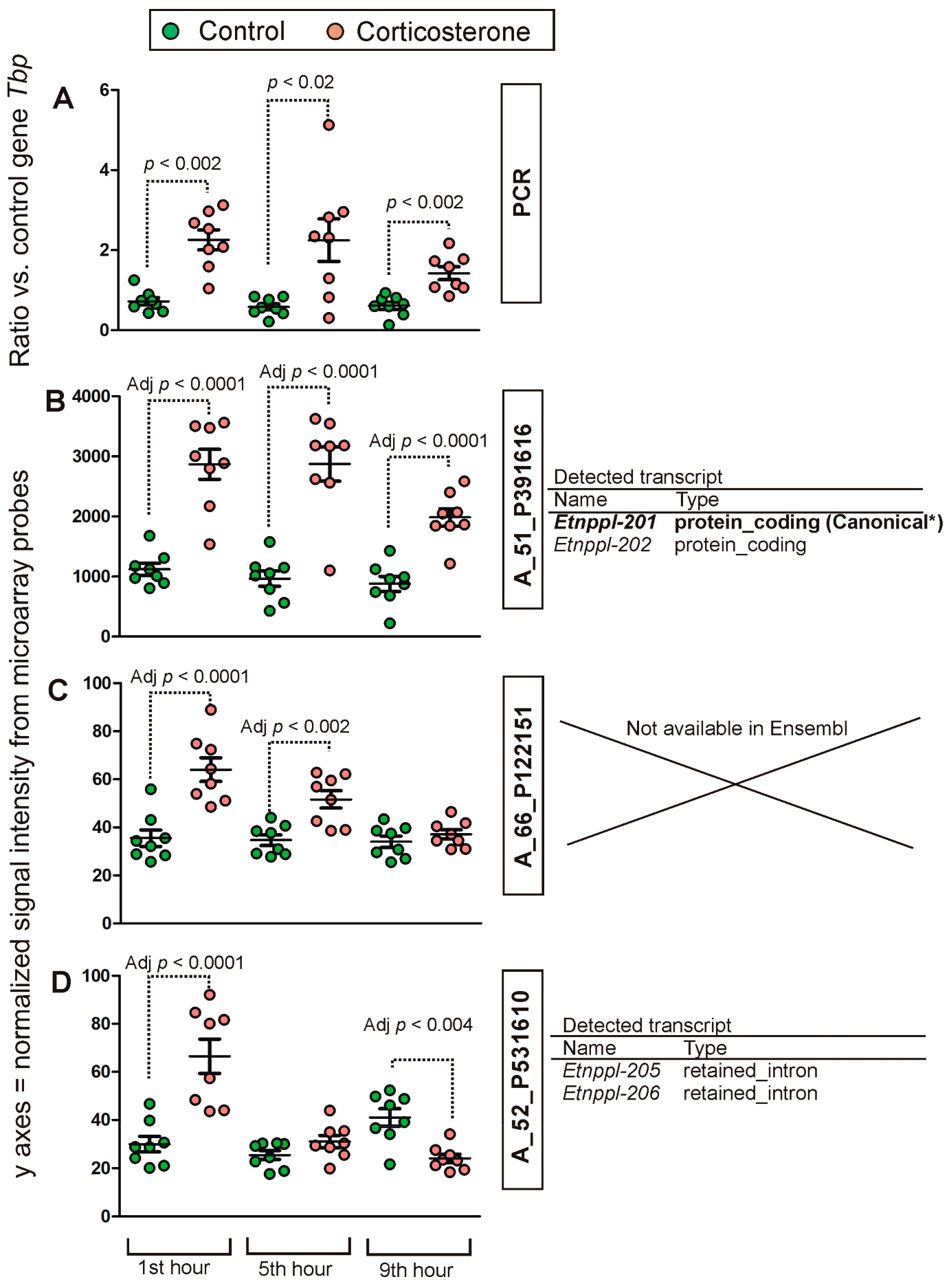Ijms 24 02828 g005 Ijms 24 02828 g005