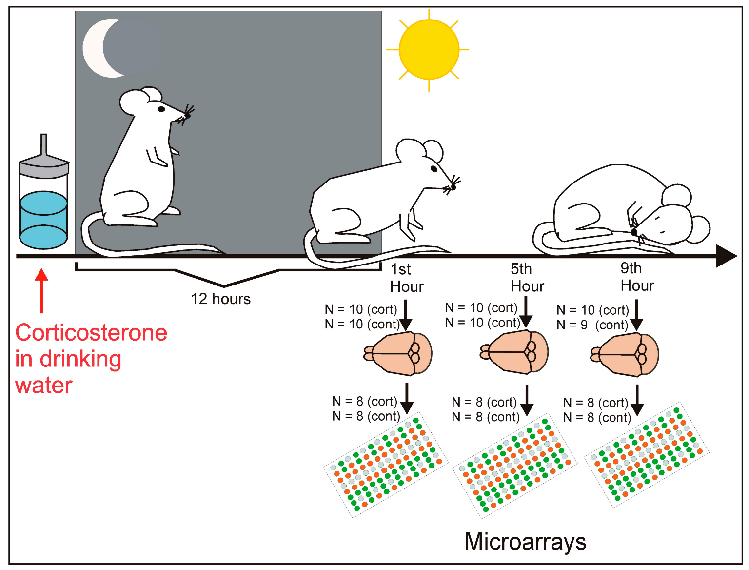 Ijms 24 02828 g006 Ijms 24 02828 g006