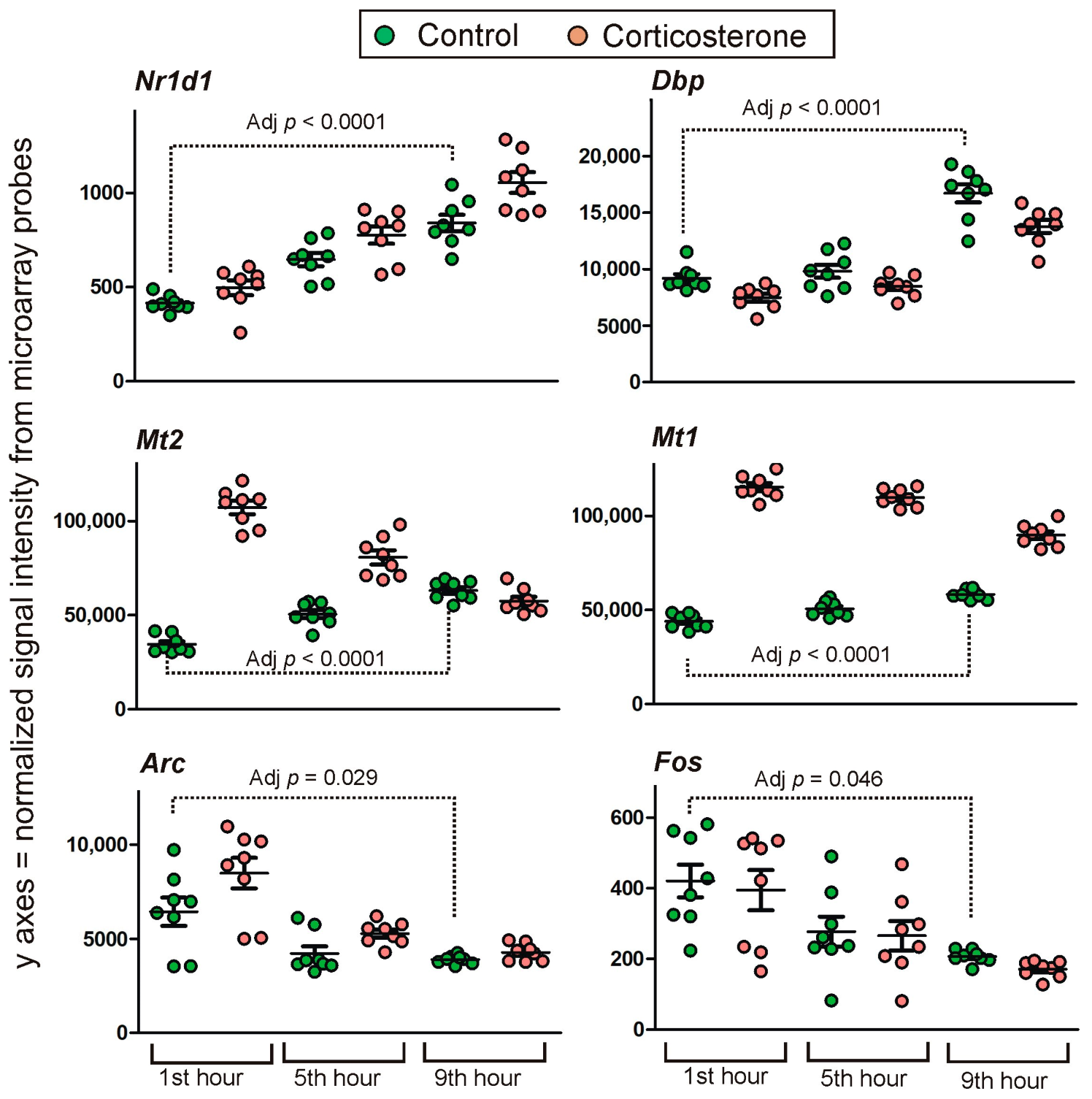 Ijms 24 02828 g007 Ijms 24 02828 g007