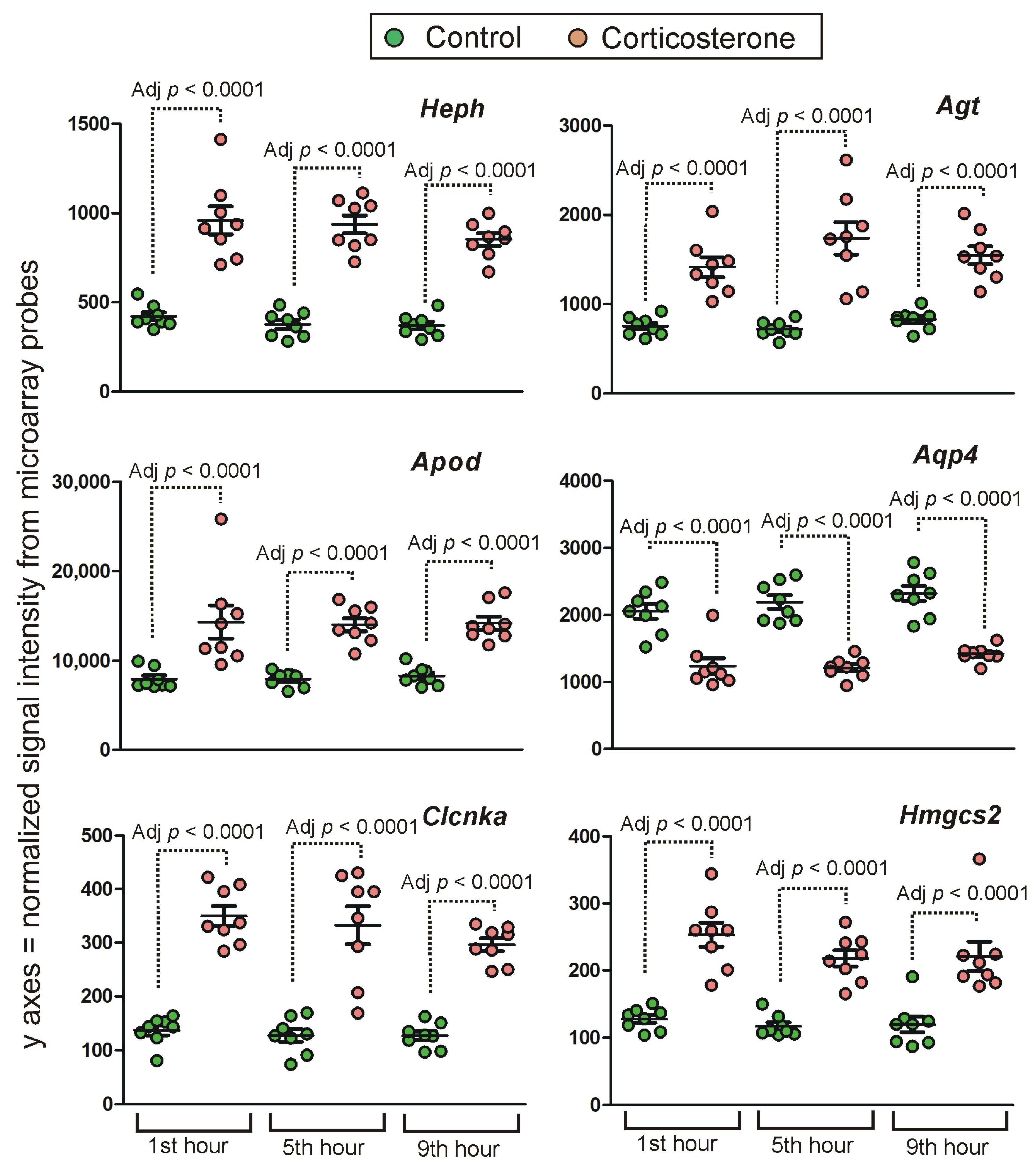 Ijms 24 02828 g010 Ijms 24 02828 g010
