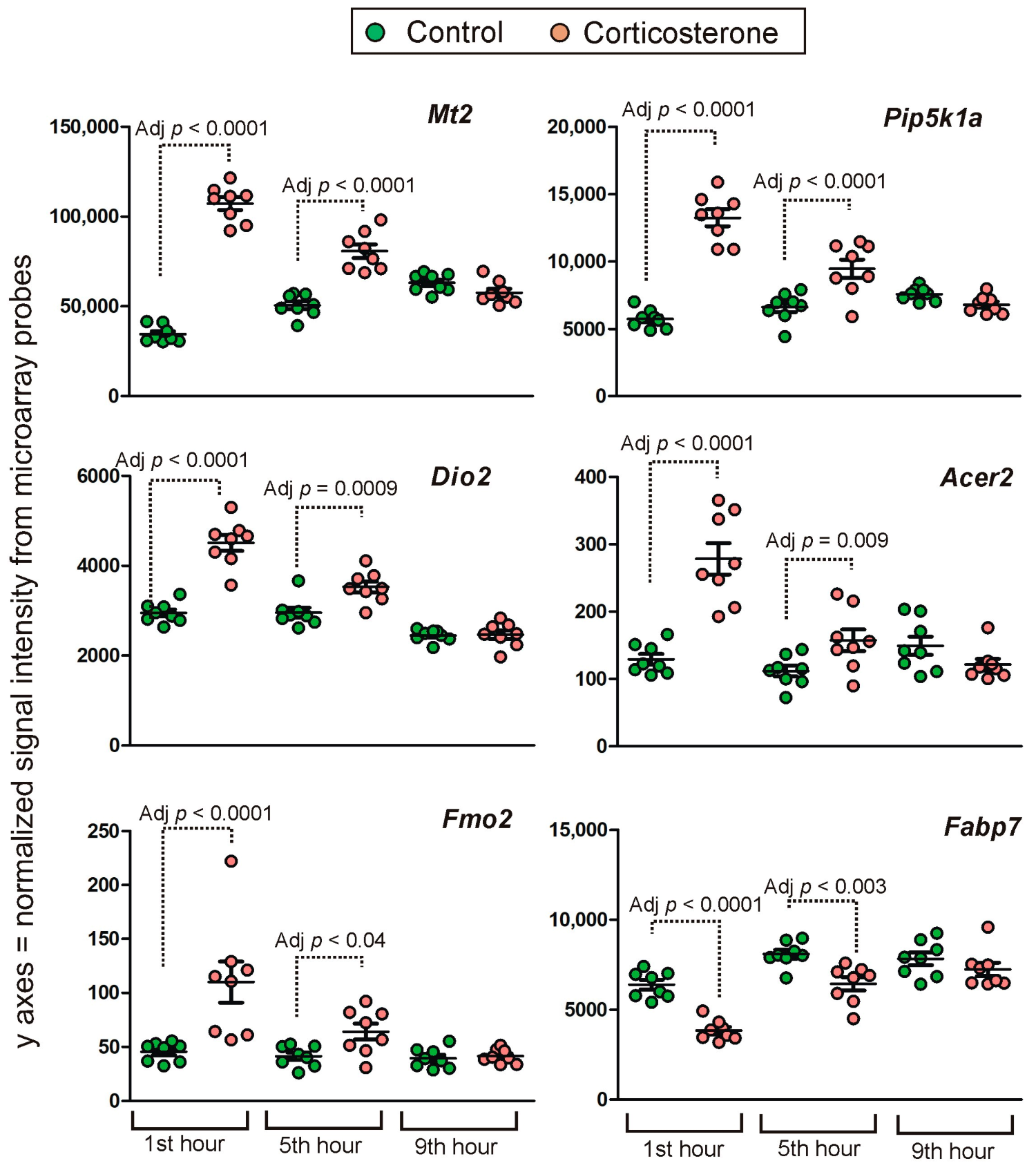 Ijms 24 02828 g011 Ijms 24 02828 g011
