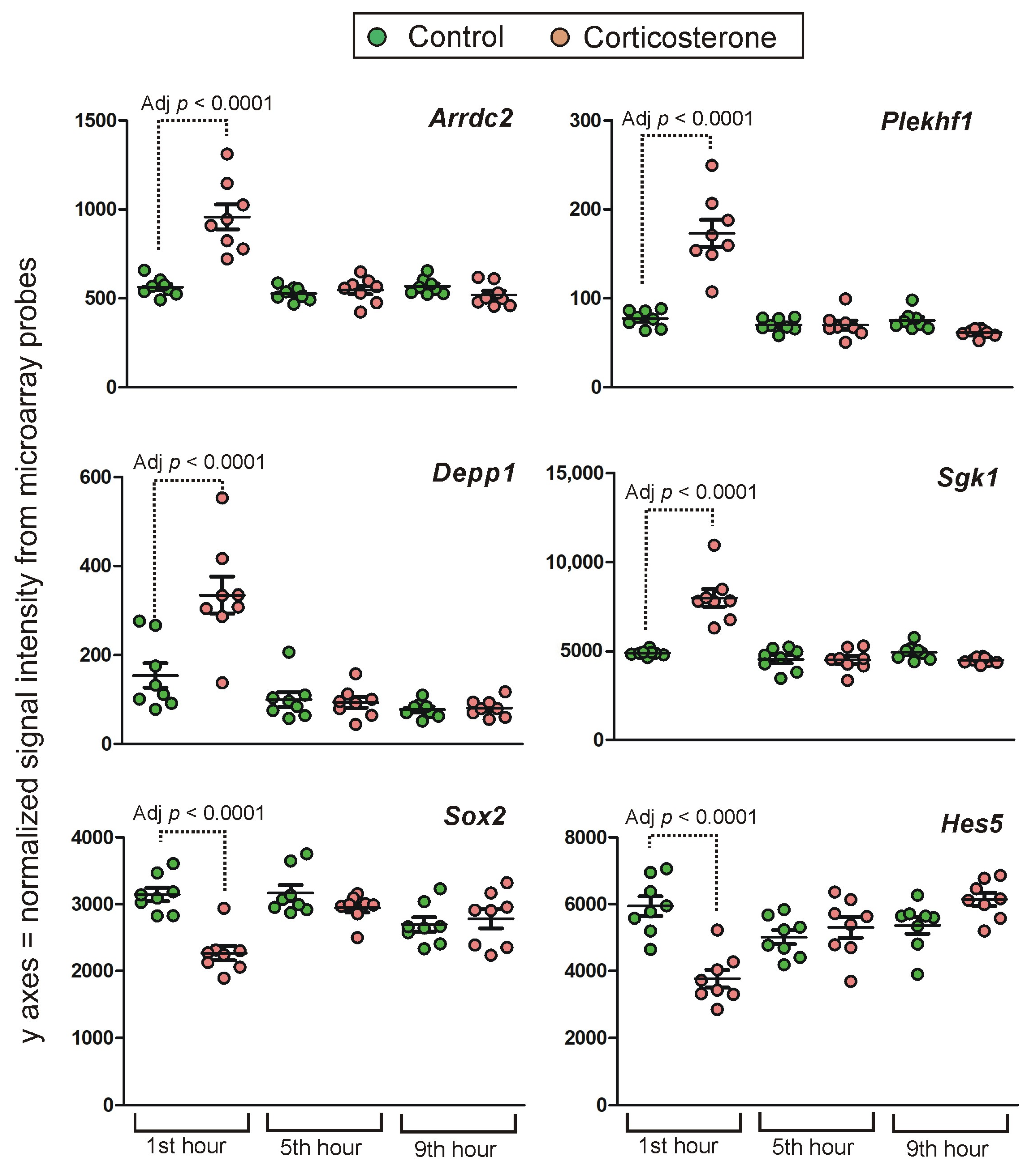 Ijms 24 02828 g012 Ijms 24 02828 g012