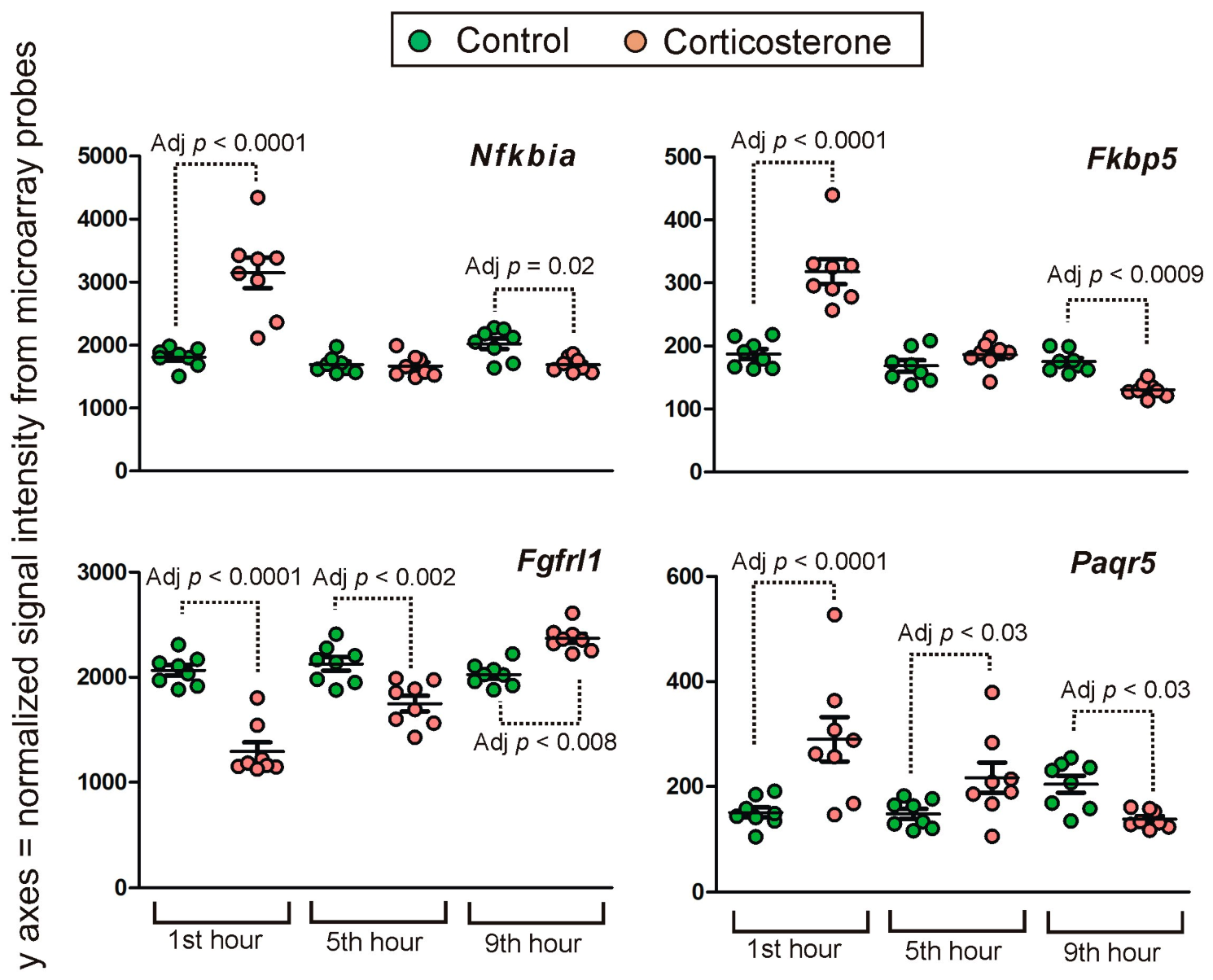 Ijms 24 02828 g013 Ijms 24 02828 g013