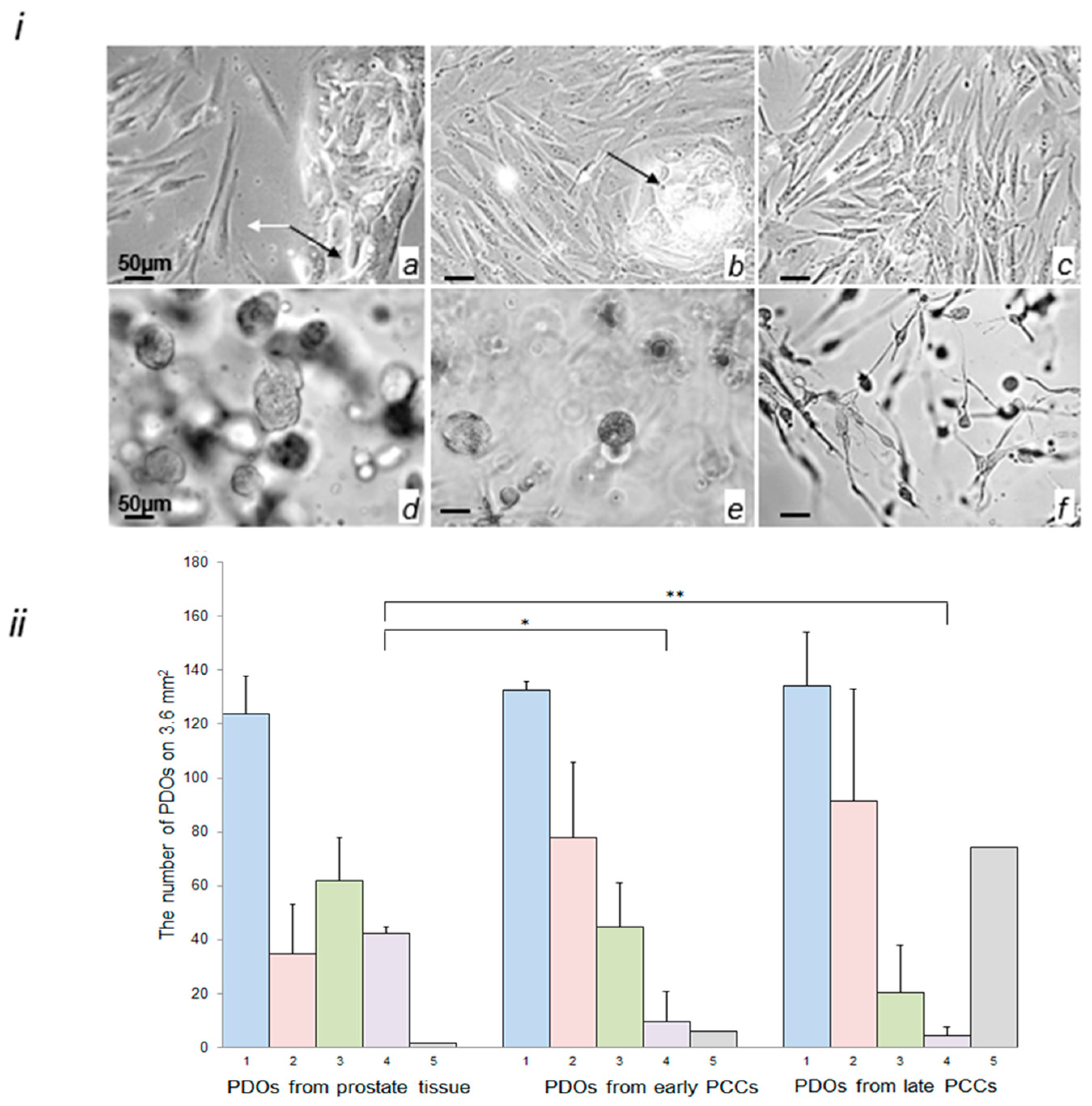 Ijms 24 02830 g003 Ijms 24 02830 g003