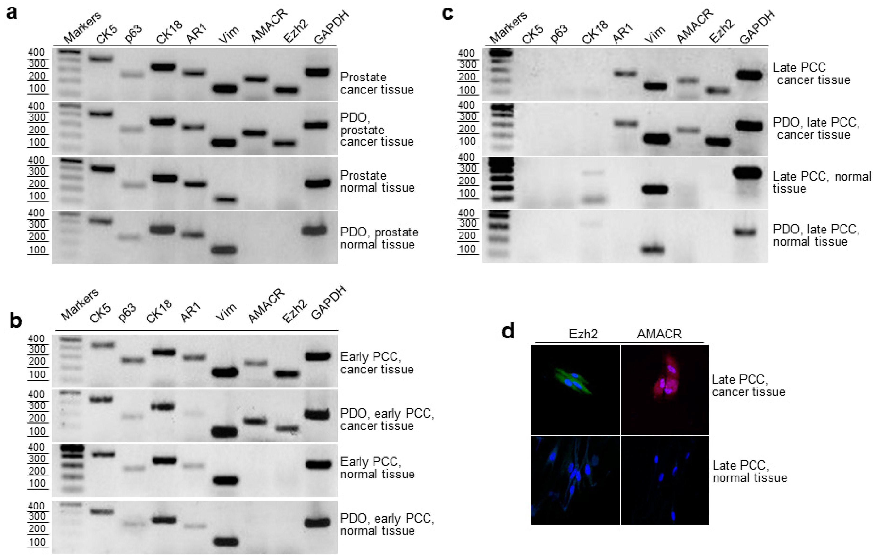 Ijms 24 02830 g004 Ijms 24 02830 g004