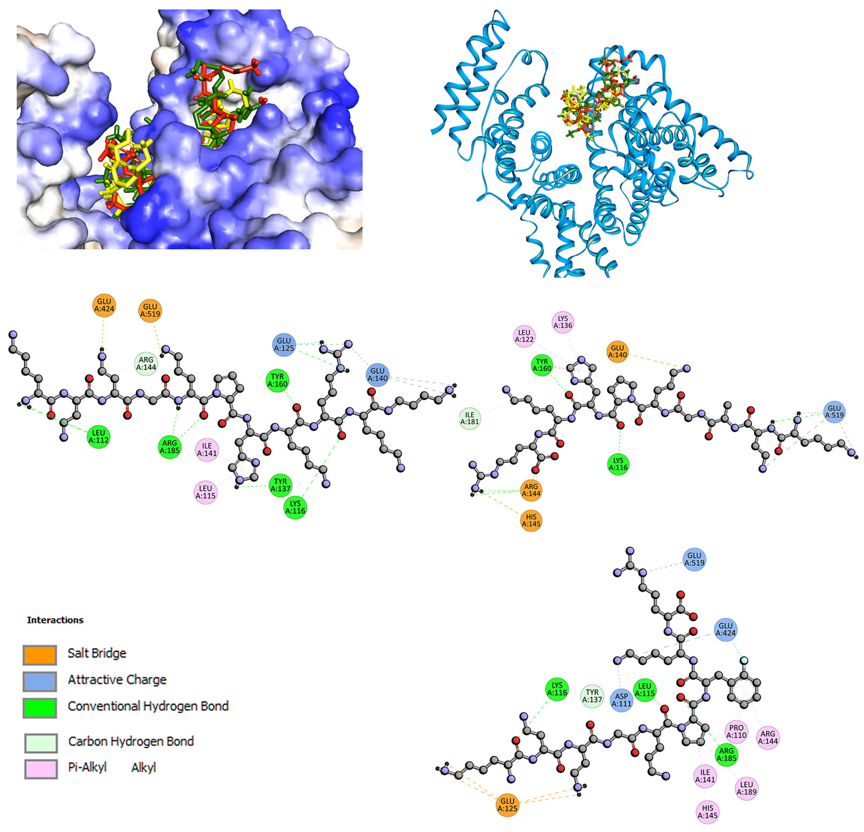 Ijms 24 02836 g006 Ijms 24 02836 g006