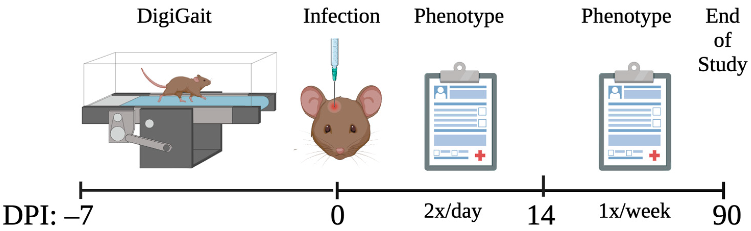 Ijms 24 02843 g002 Ijms 24 02843 g002