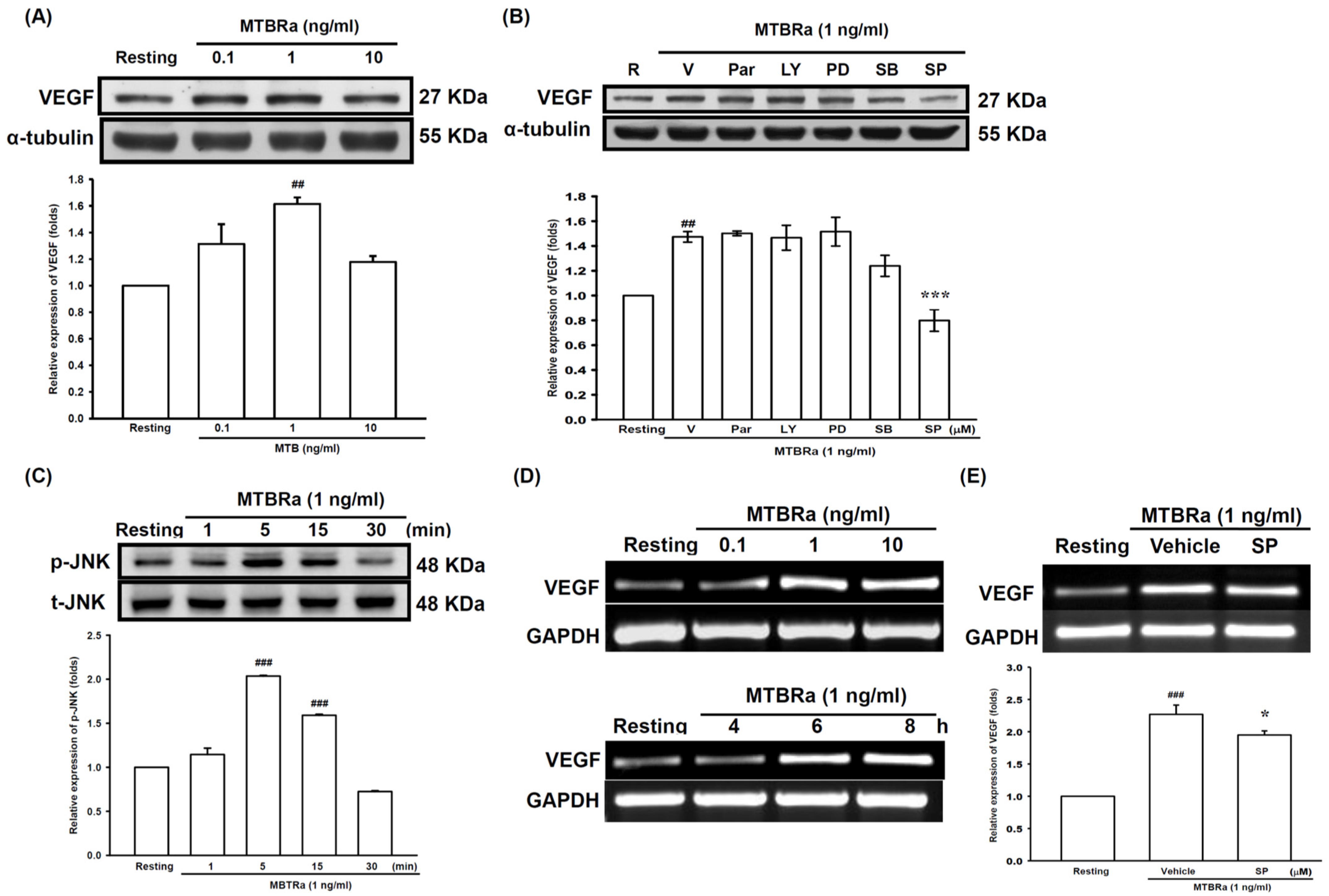 Ijms 24 02846 g002 Ijms 24 02846 g002