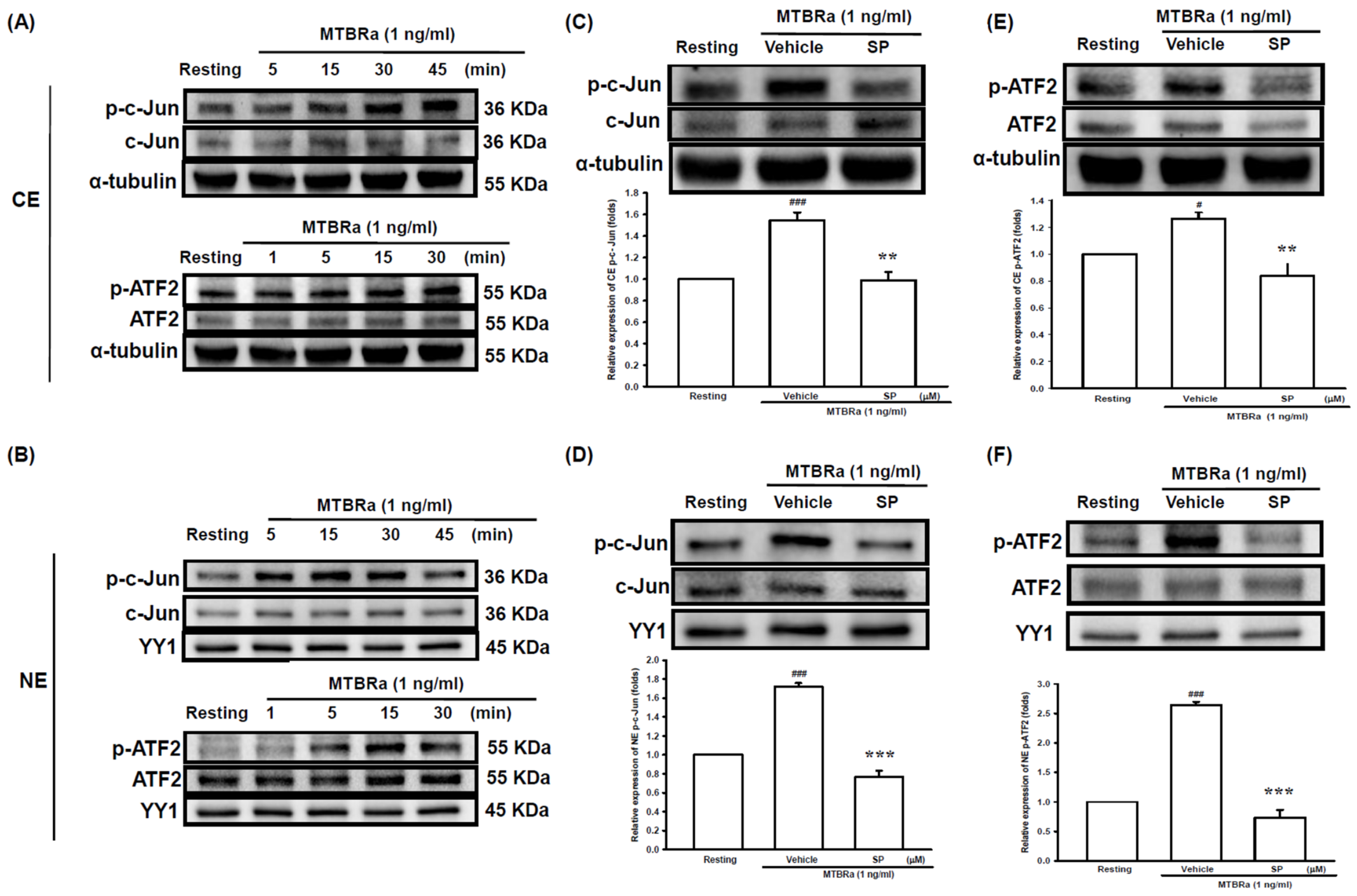 Ijms 24 02846 g003 Ijms 24 02846 g003