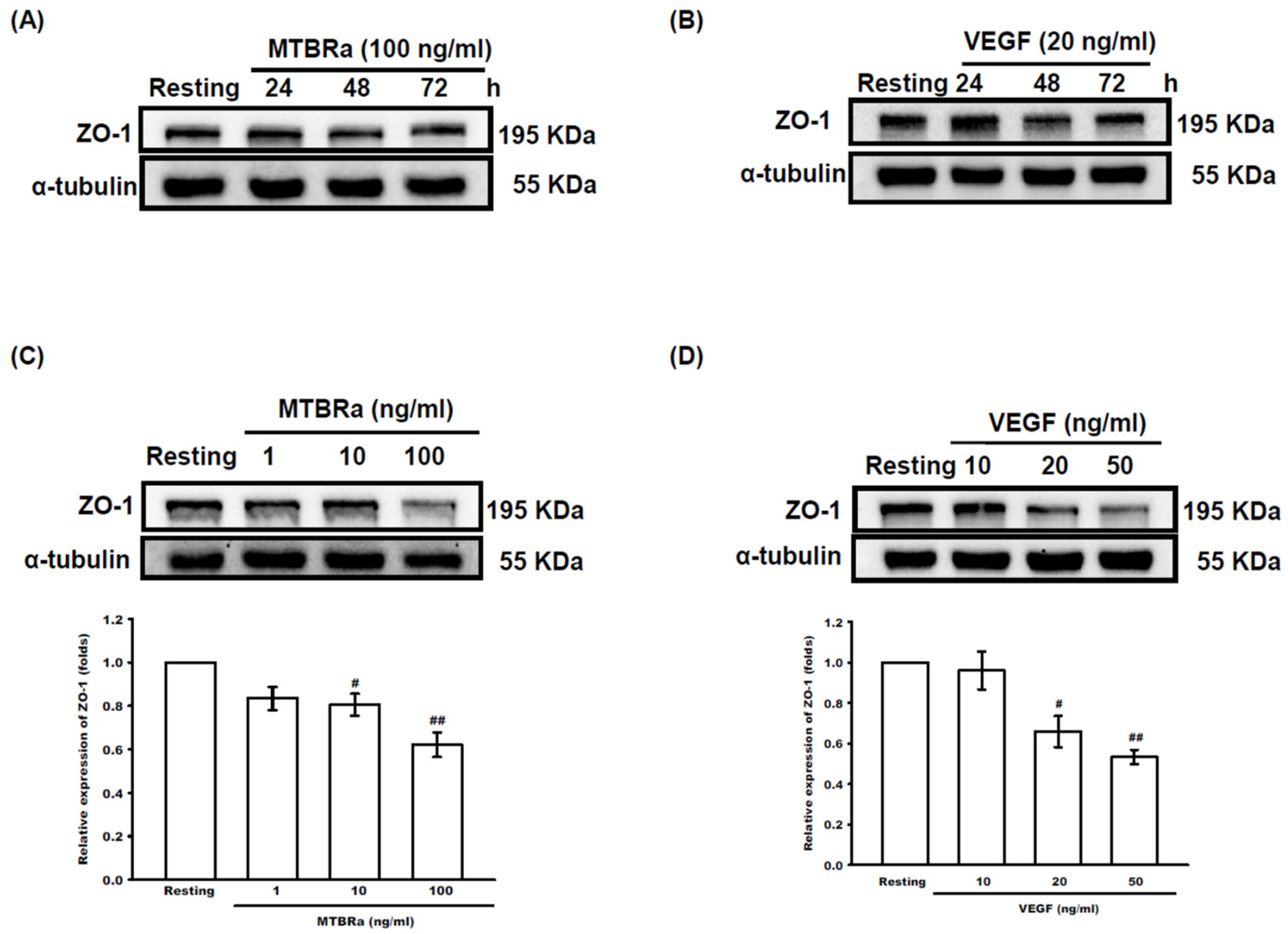 Ijms 24 02846 g005 Ijms 24 02846 g005