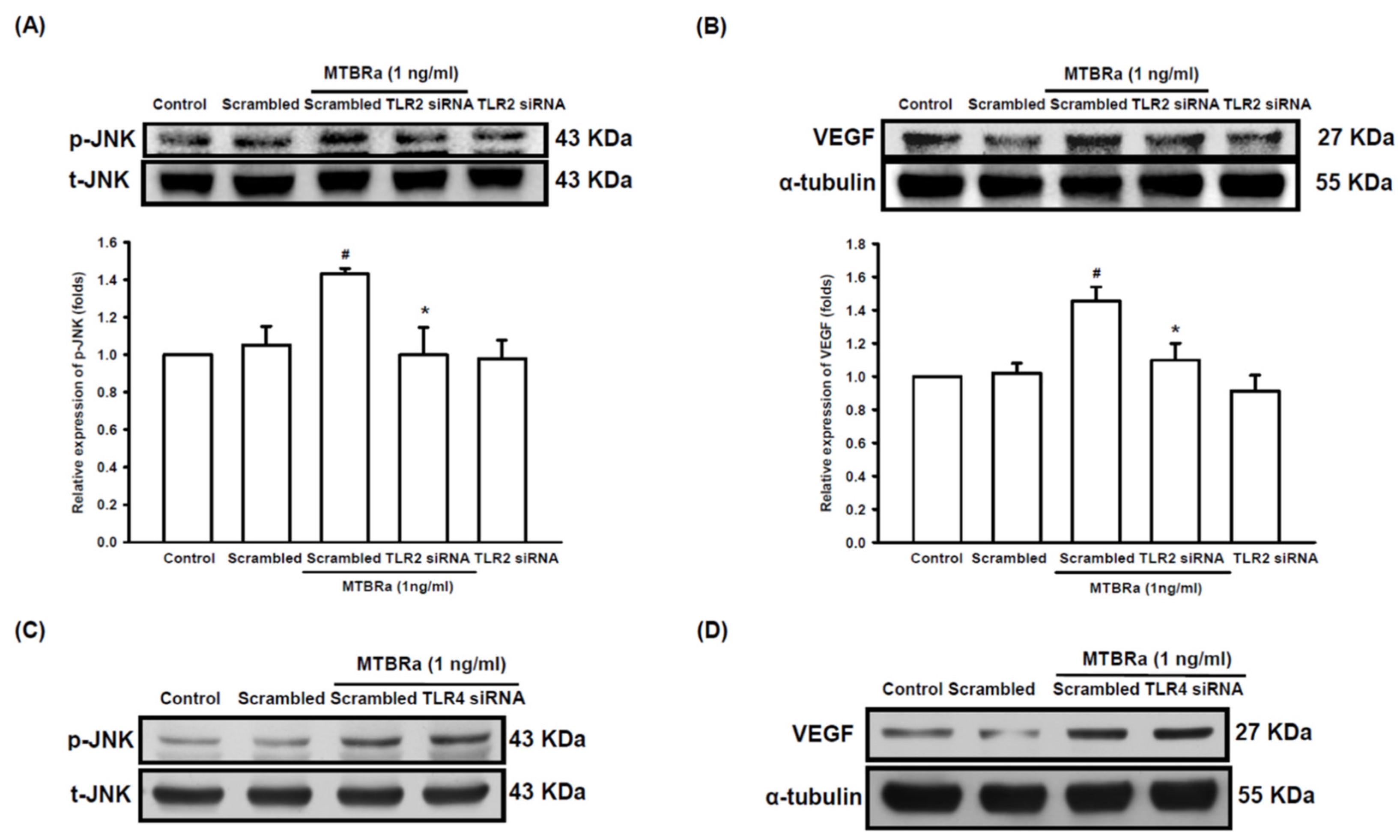 Ijms 24 02846 g006 Ijms 24 02846 g006
