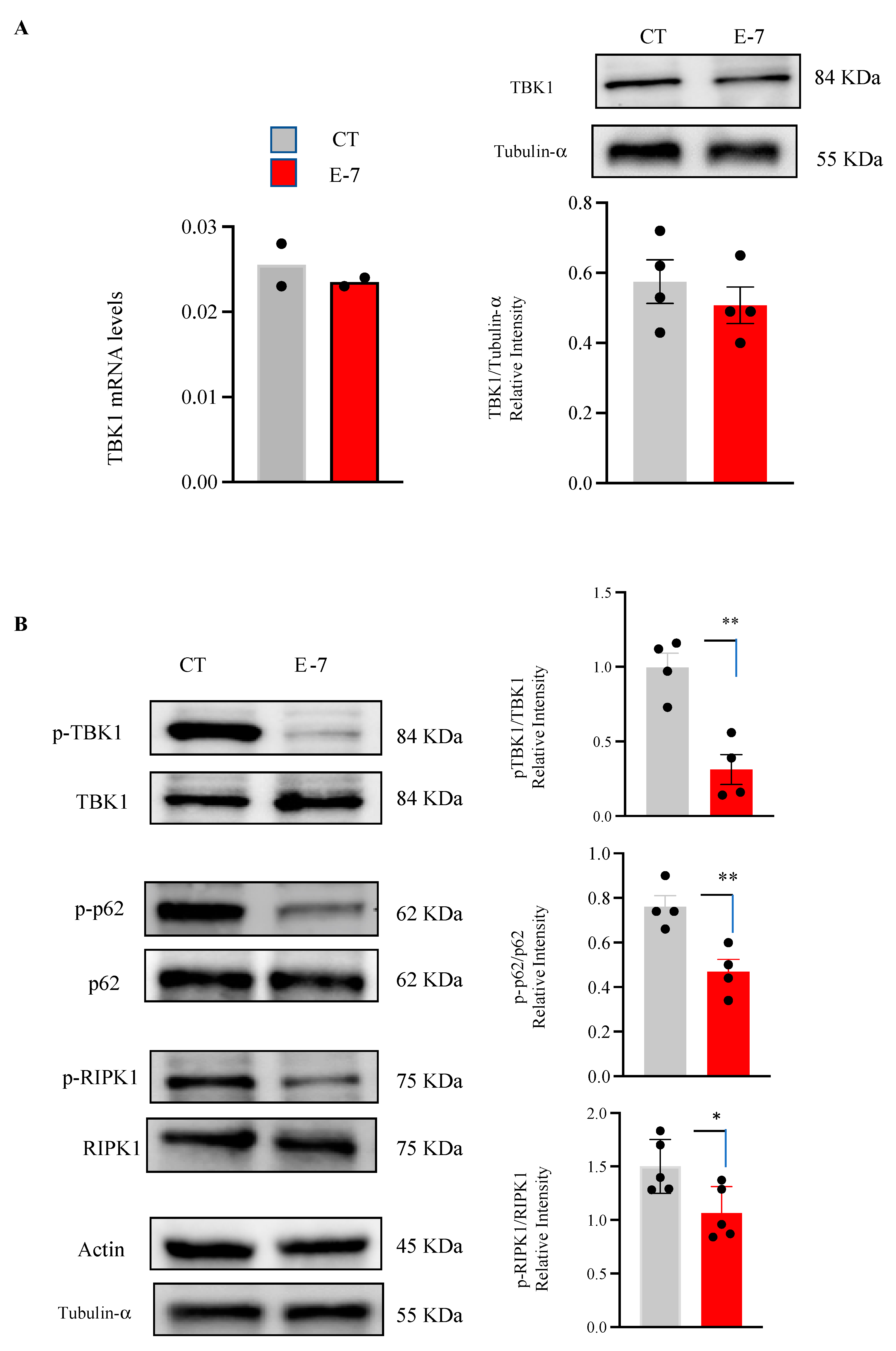 Ijms 24 02847 g001 Ijms 24 02847 g001