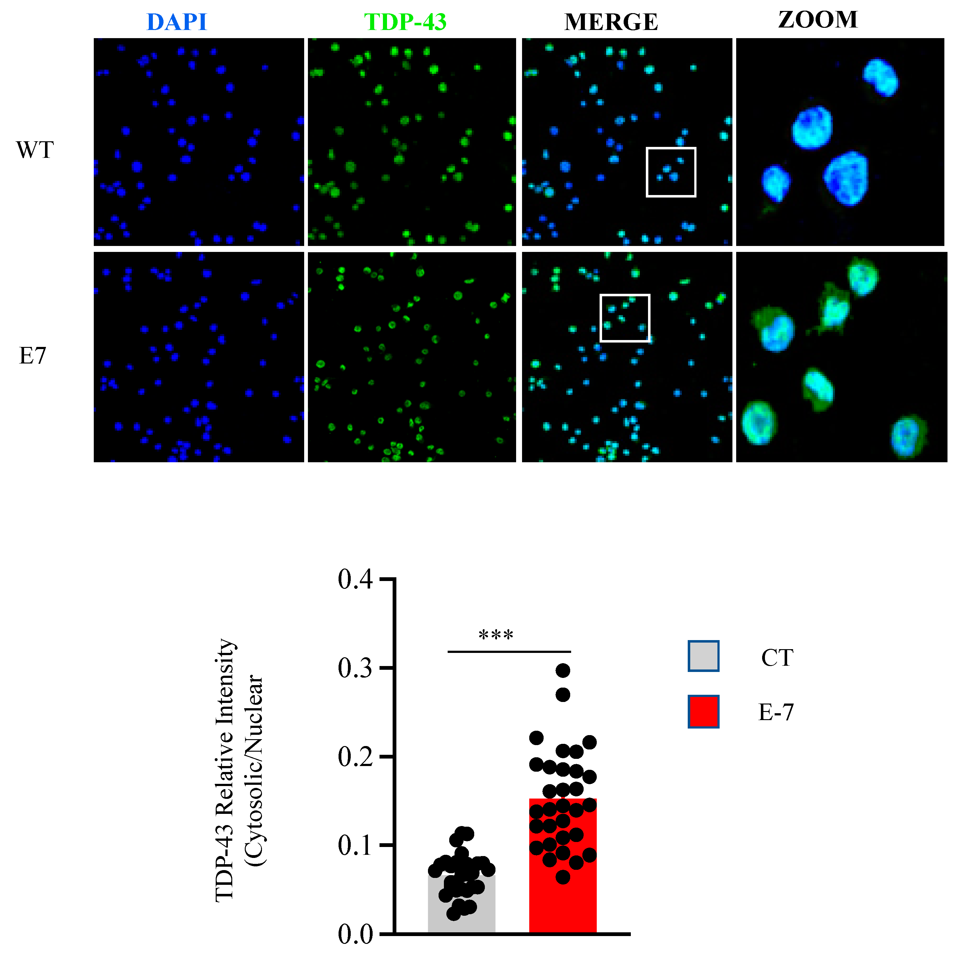 Ijms 24 02847 g005 Ijms 24 02847 g005