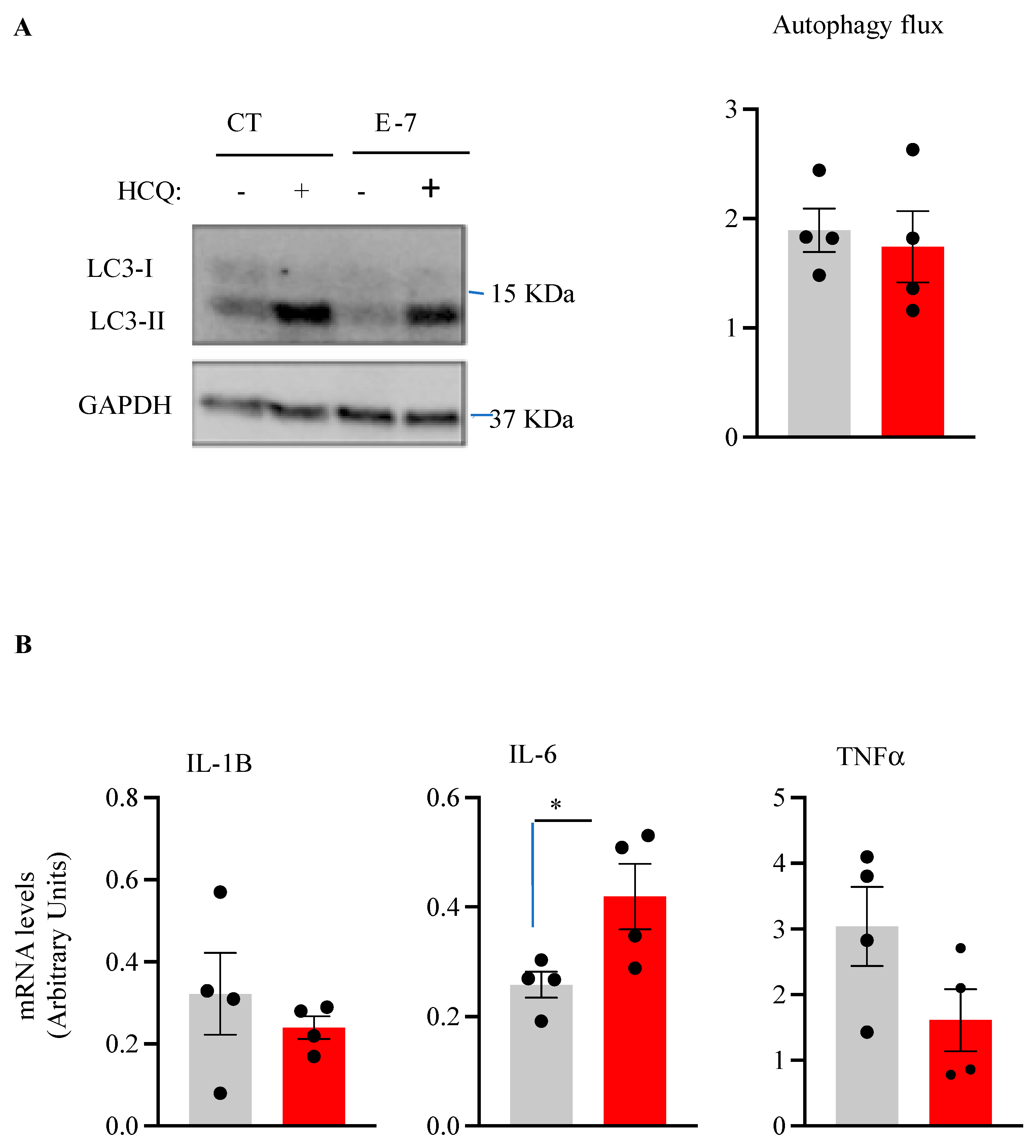 Ijms 24 02847 g006 Ijms 24 02847 g006