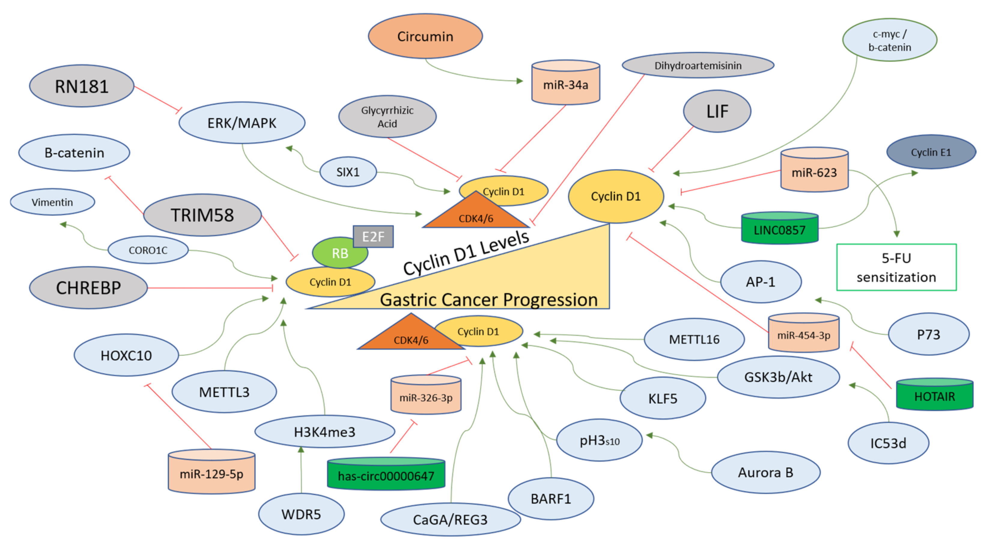 Ijms 24 02848 g003 Ijms 24 02848 g003