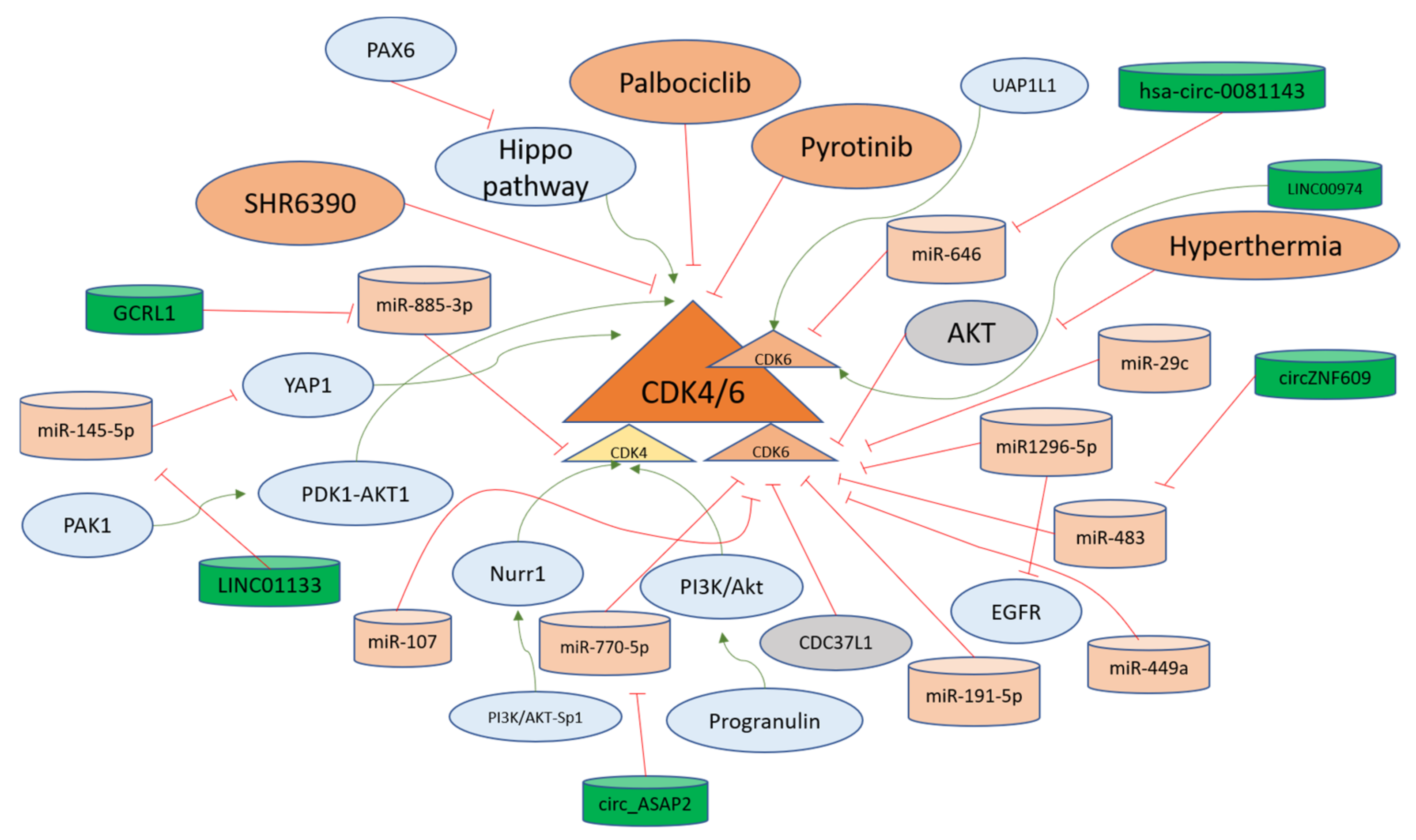The Regulation of Cyclins and Cyclin-Dependent ... Biology Diagrams