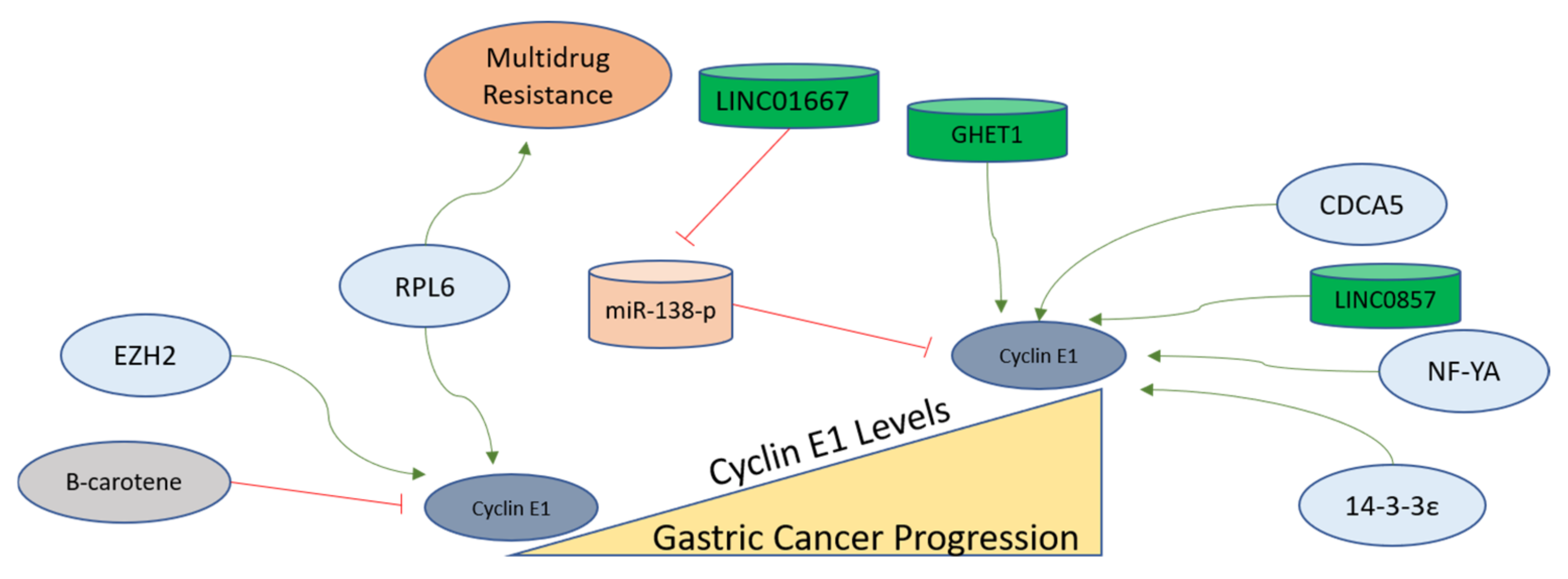 Ijms 24 02848 g005 Ijms 24 02848 g005