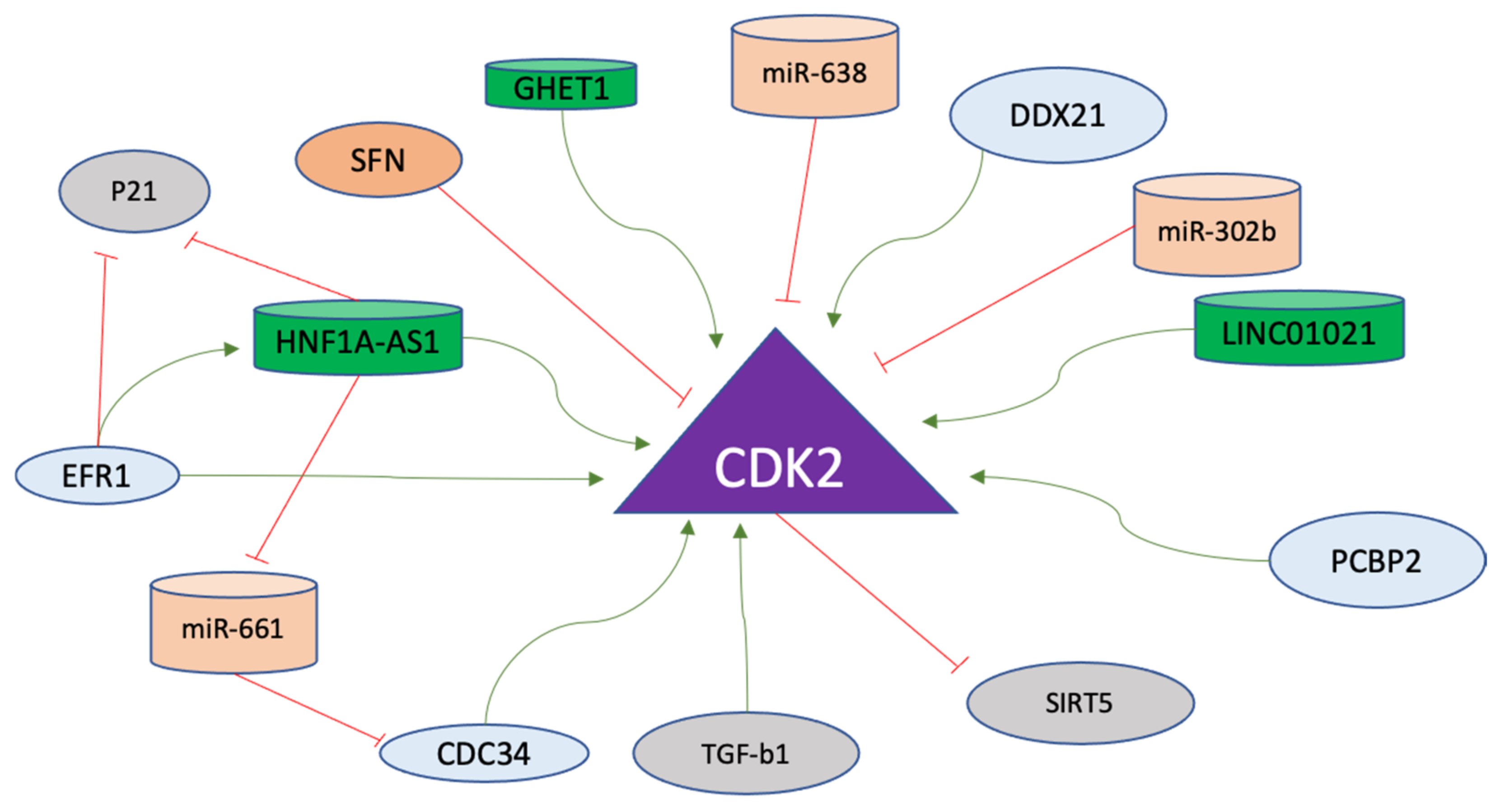 The Regulation of Cyclins and Cyclin-Dependent ... Biology Diagrams