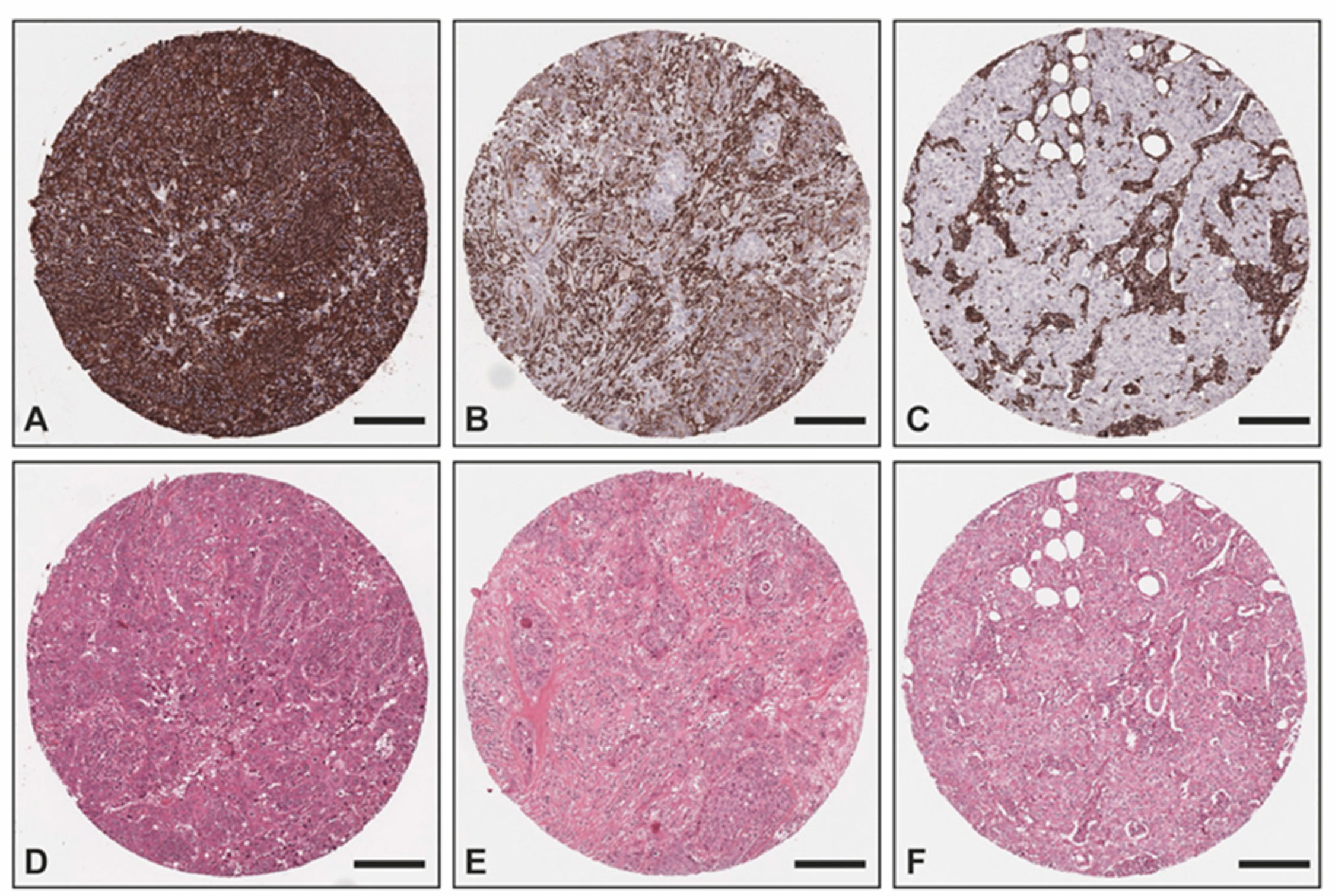 Ijms 24 02860 g003 Ijms 24 02860 g003