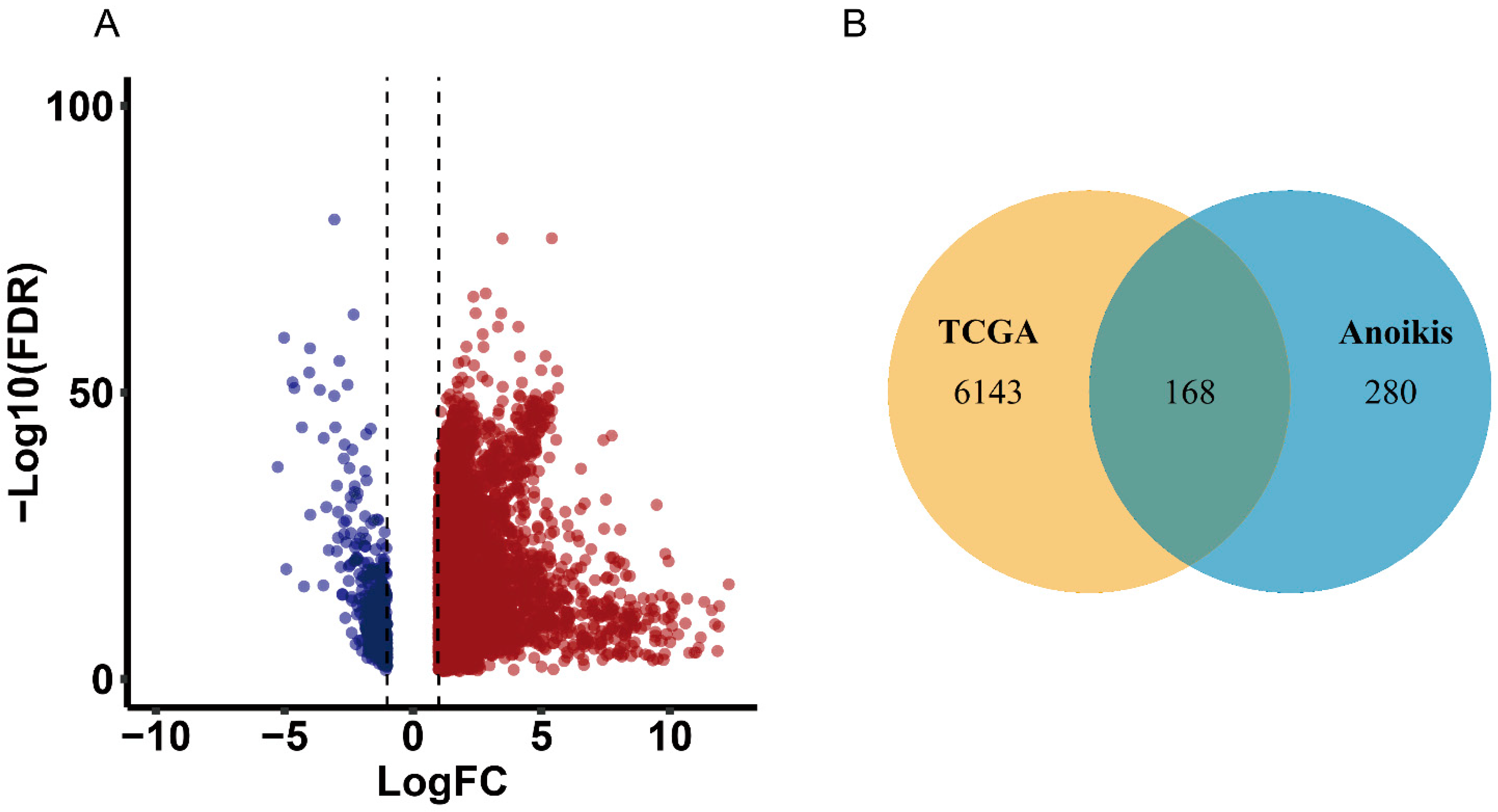 Identification of Anoikis-Related Subgroups and Prognosis