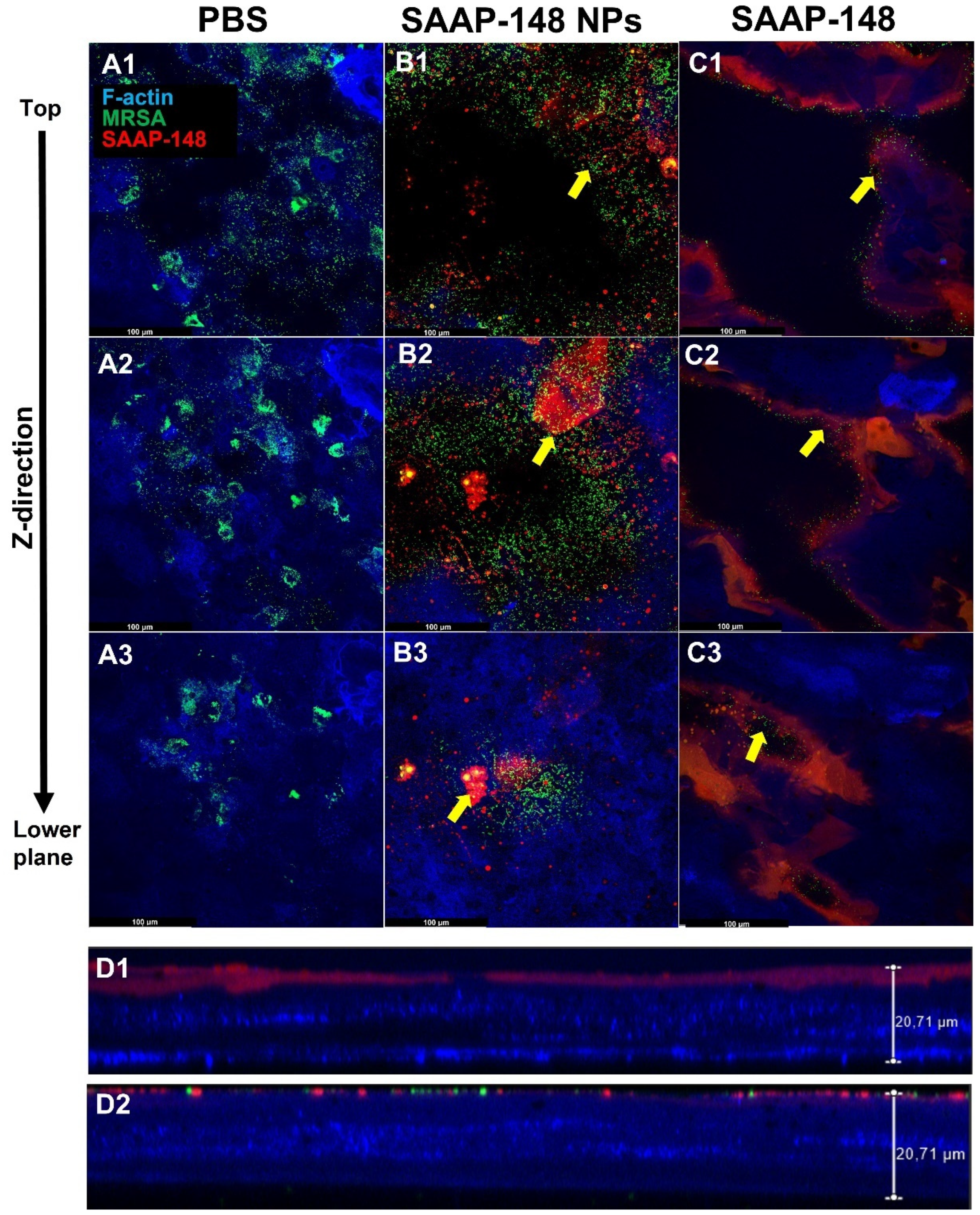 Ijms 24 02867 g006 Ijms 24 02867 g006
