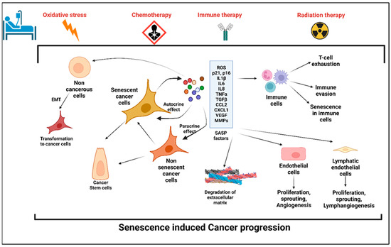 Cellular Senescence as a Brake or Accelerator for Oncogenic