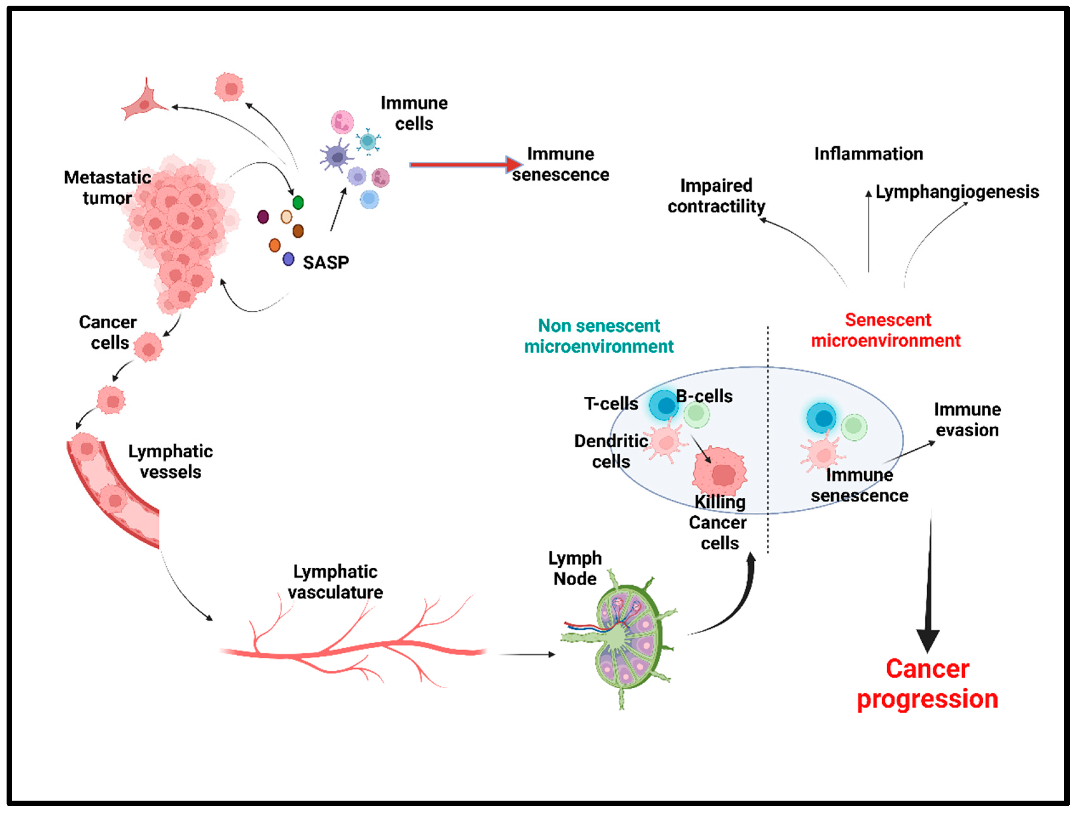 Ijms 24 02877 g005 Ijms 24 02877 g005