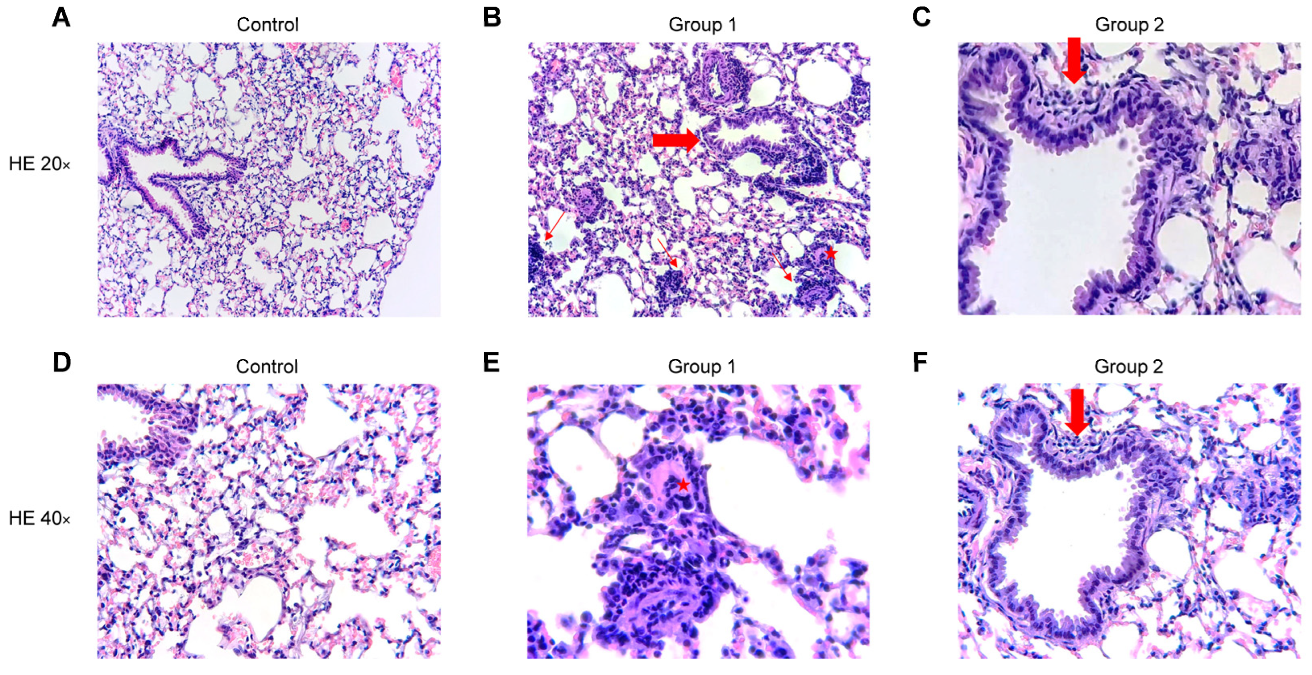 Ijms 24 02884 g007 Ijms 24 02884 g007