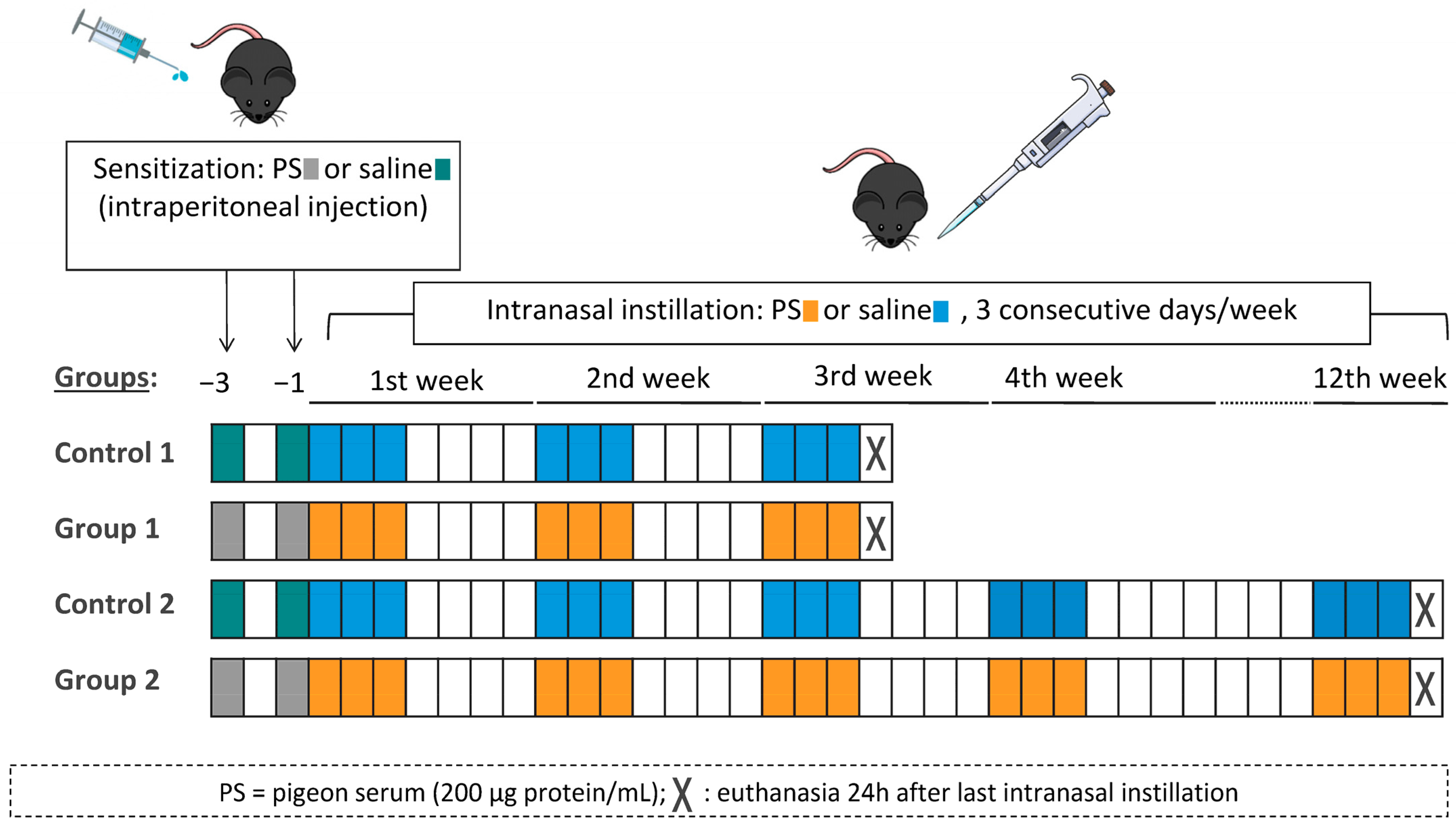 Ijms 24 02884 g008 Ijms 24 02884 g008