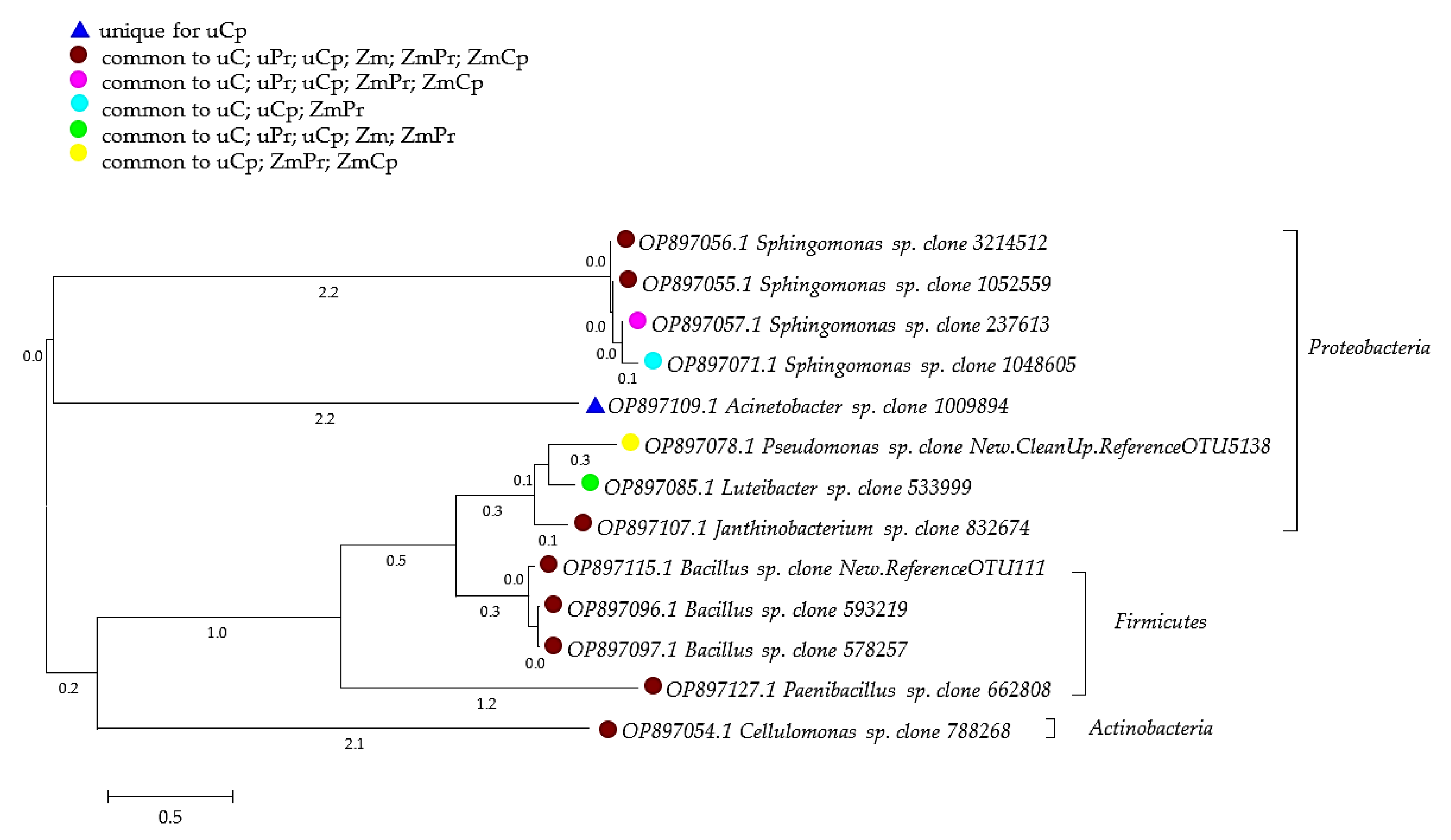 Ijms 24 02892 g008 Ijms 24 02892 g008