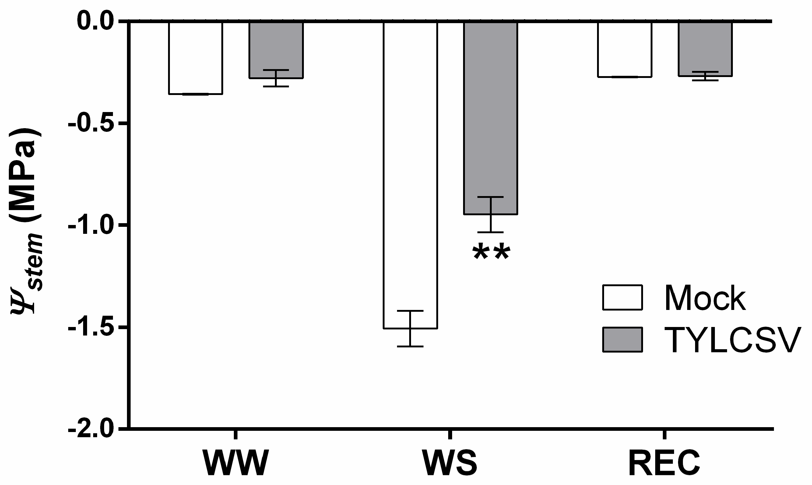 Ijms 24 02893 g003 Ijms 24 02893 g003