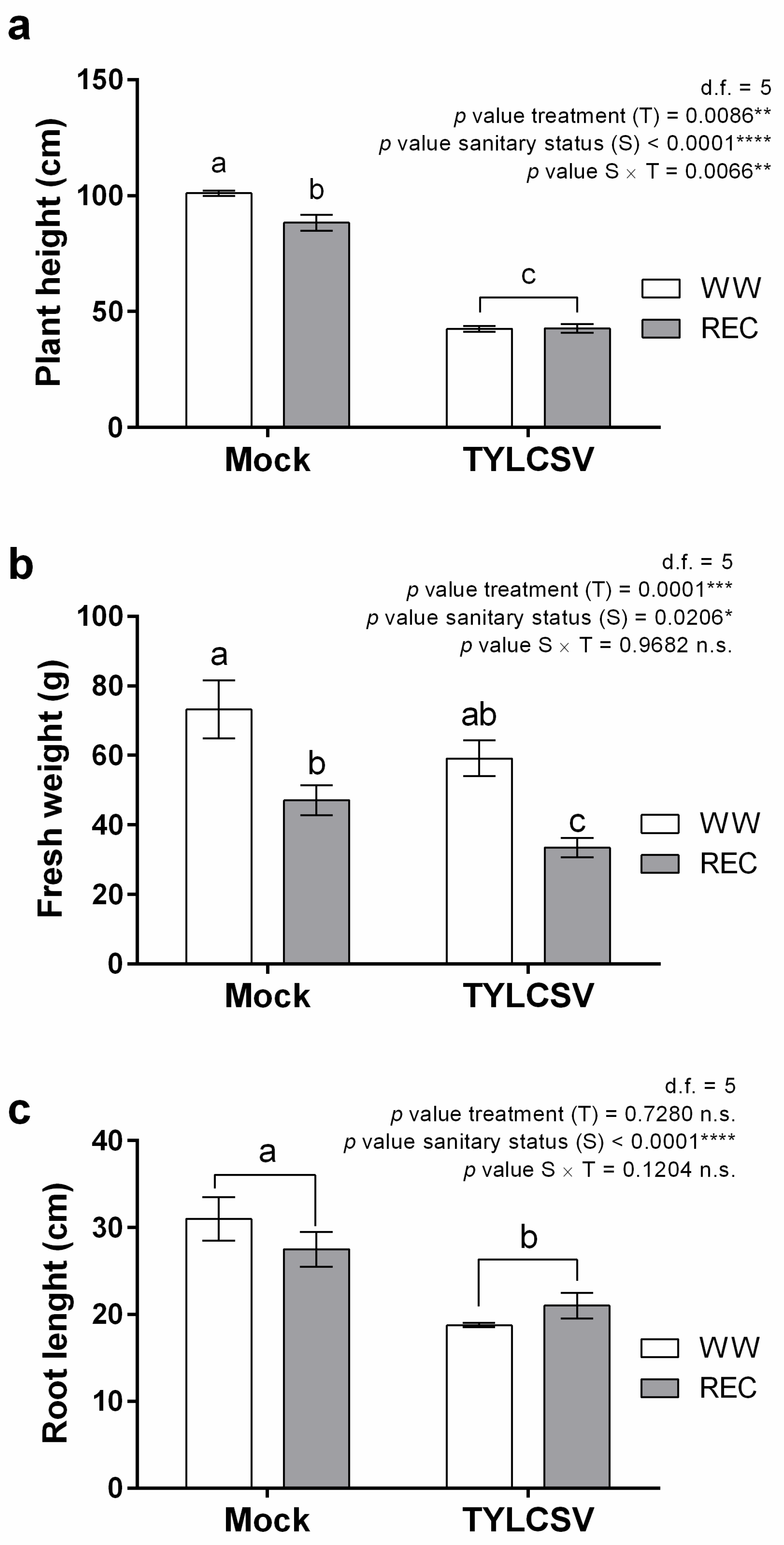 Ijms 24 02893 g004 Ijms 24 02893 g004