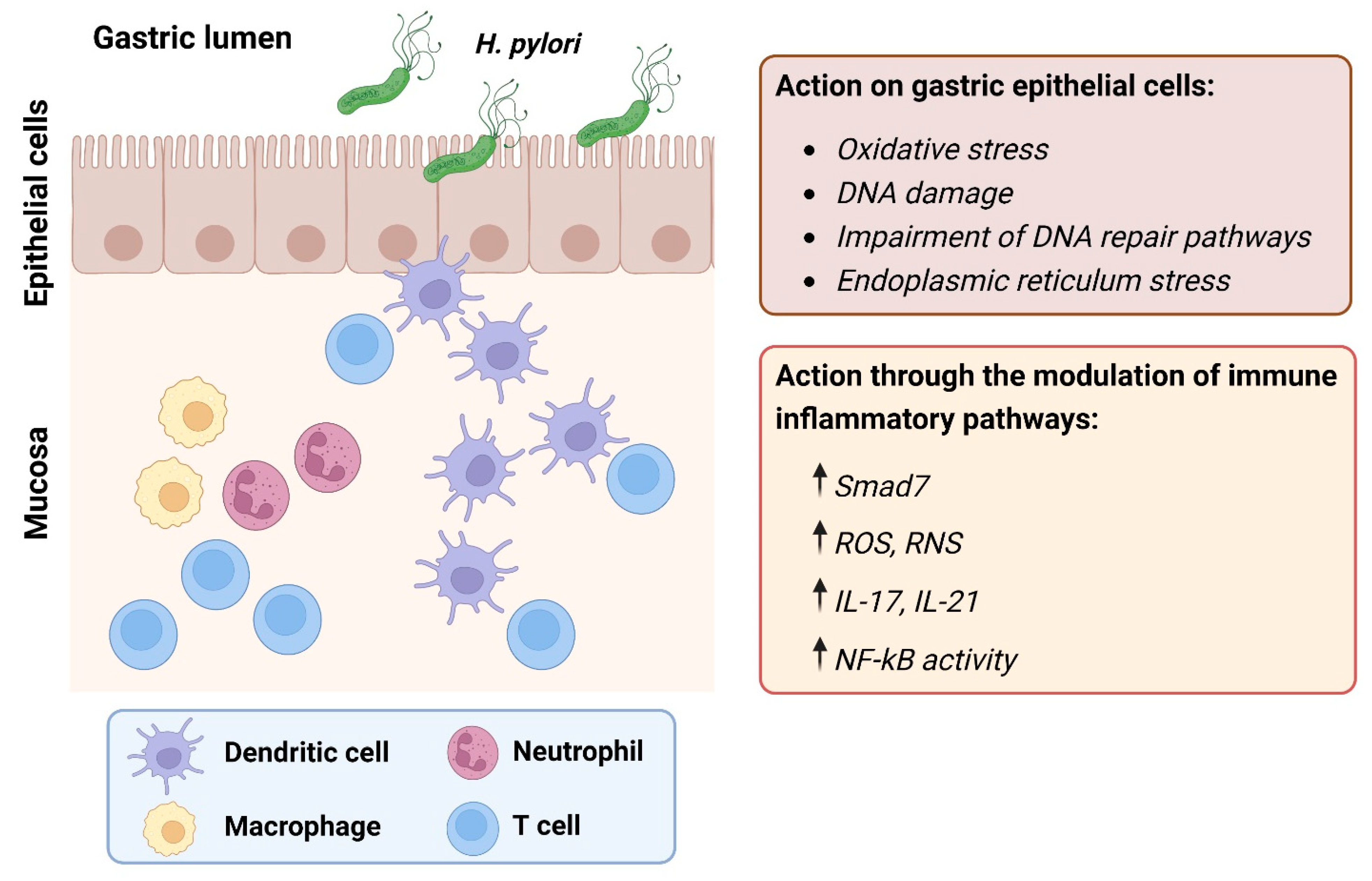 Ijms 24 02895 g001 Ijms 24 02895 g001
