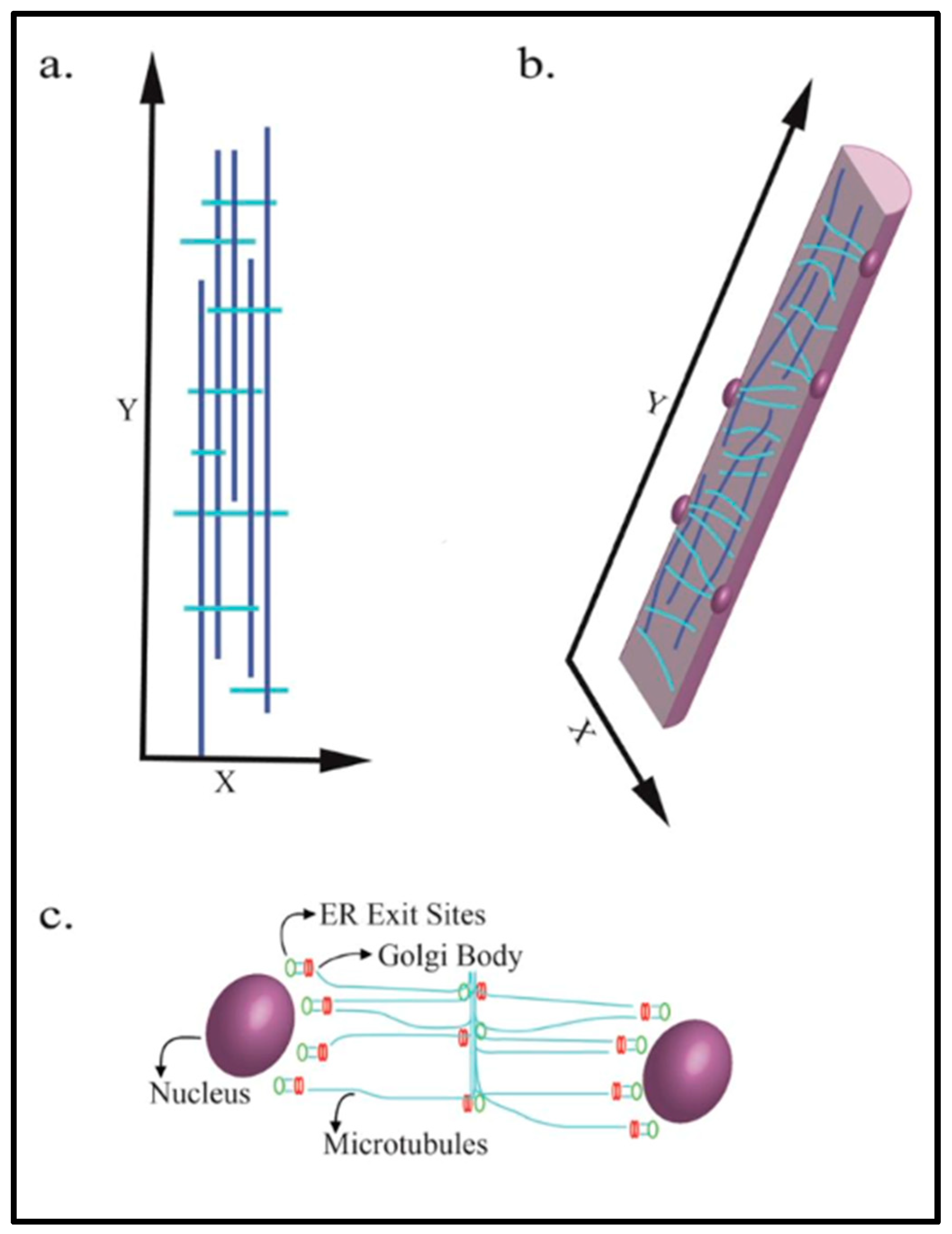 Insights into CellSpecific Functions of Biology Diagrams
