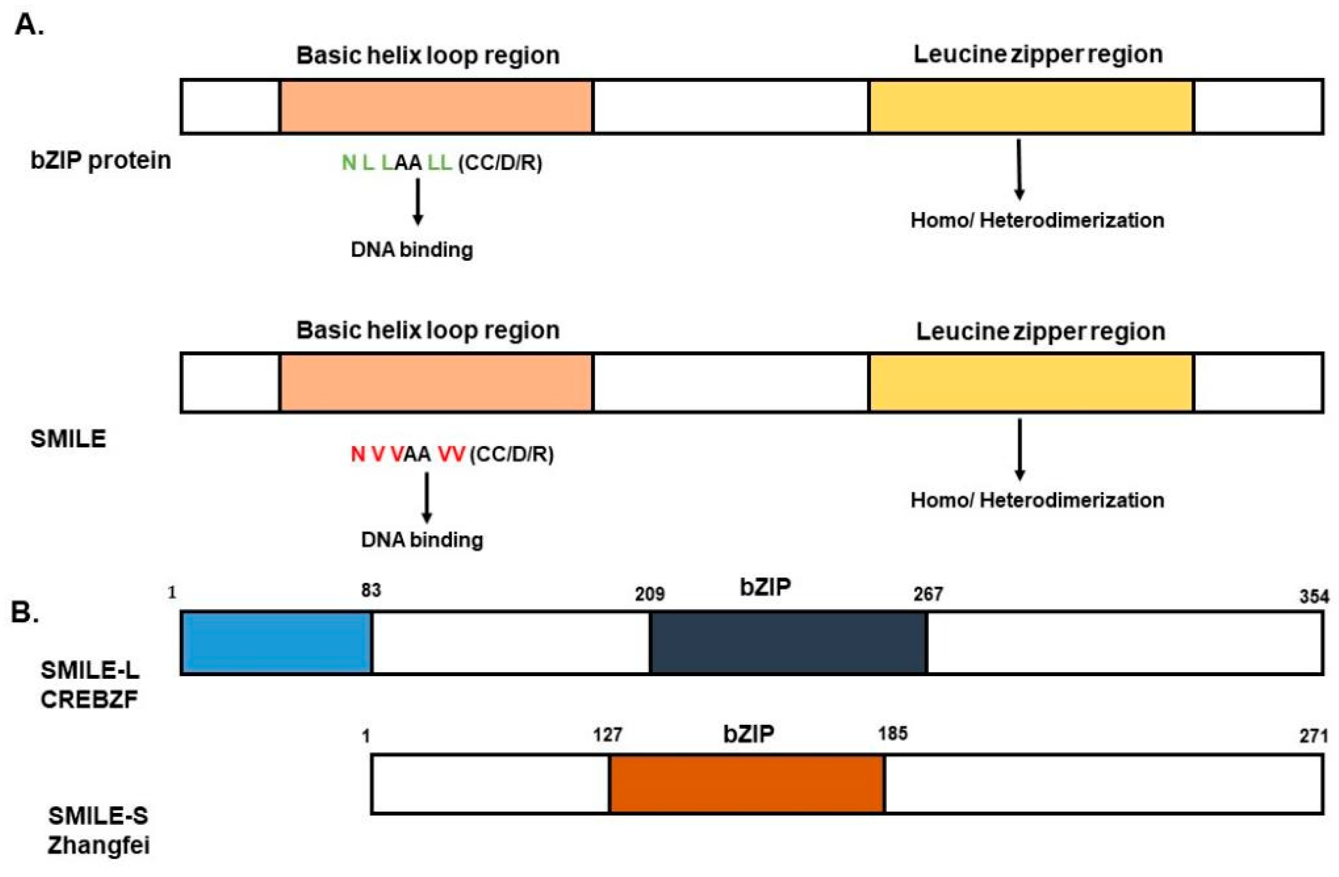 Ijms 24 02907 g001 Ijms 24 02907 g001
