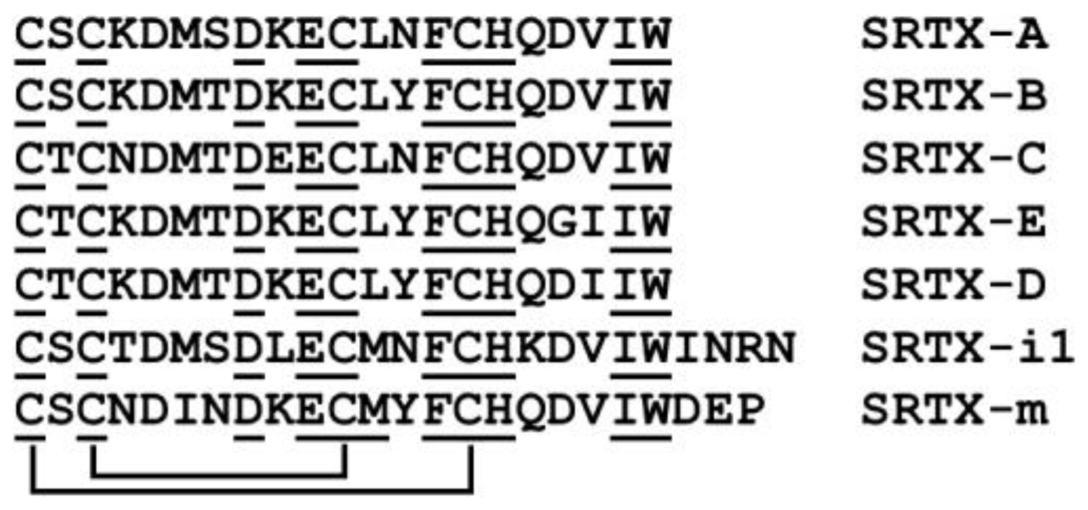 Recent Developments in Mitochondrial G‐Quadruplex