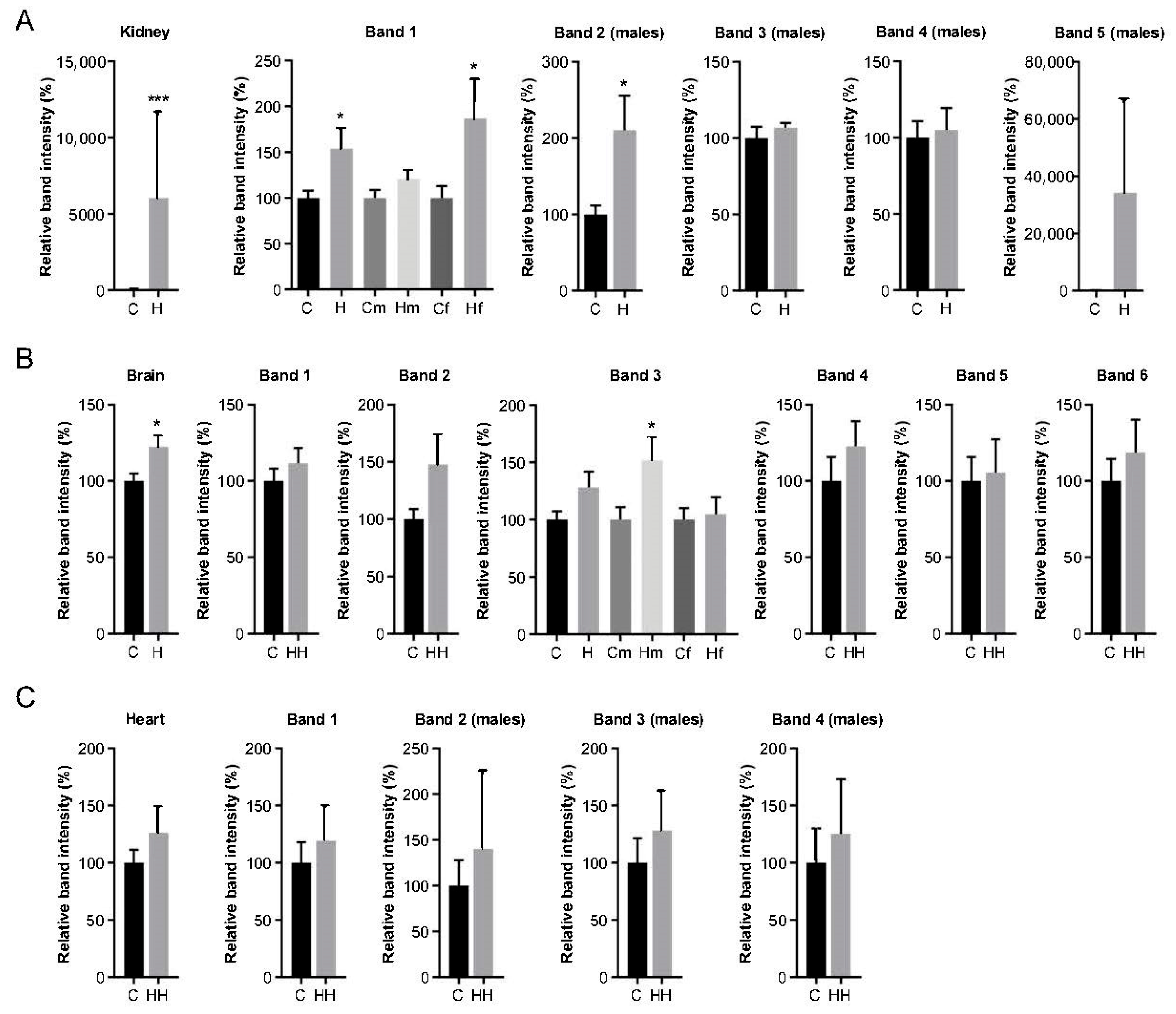 Ijms 24 02922 g004 Ijms 24 02922 g004