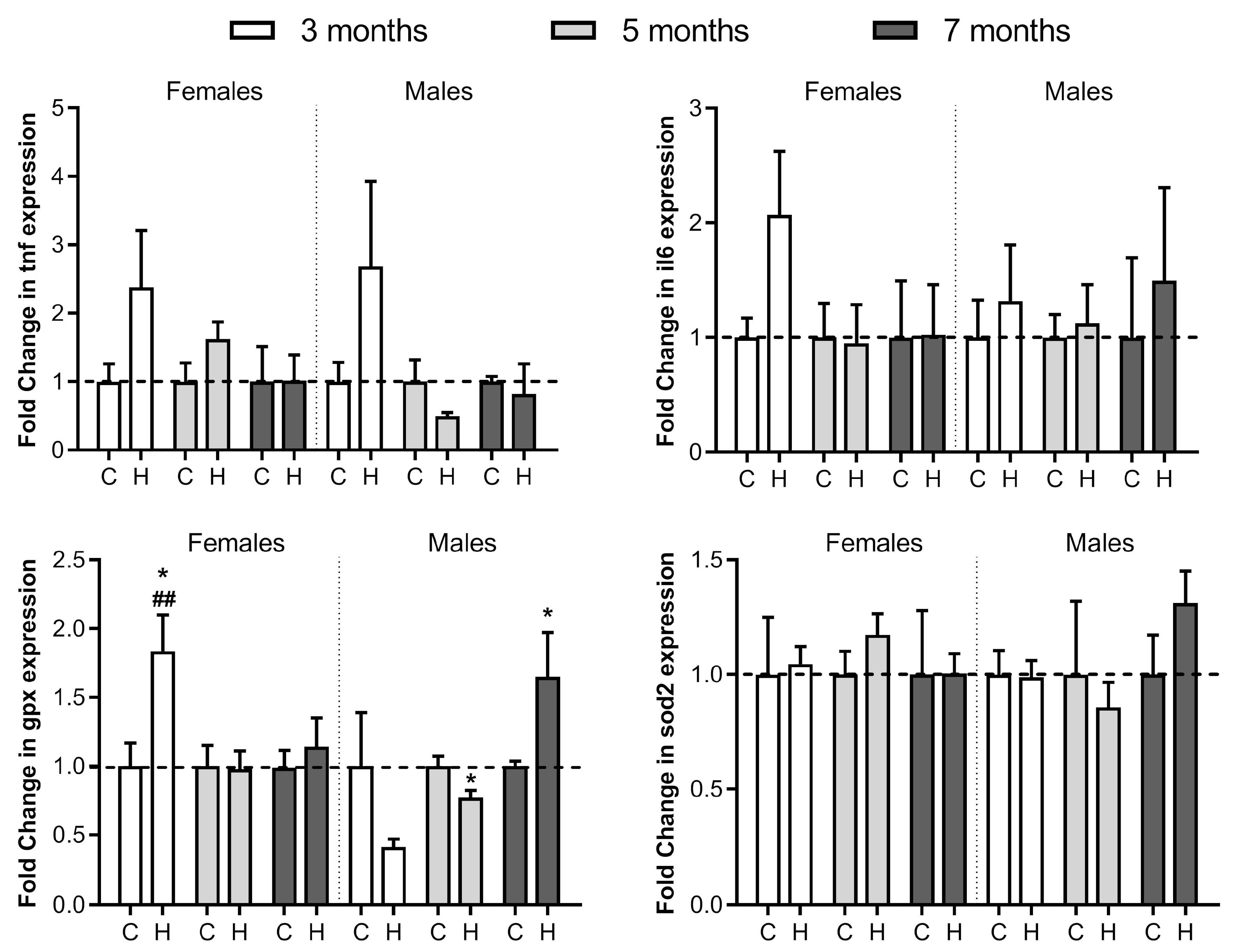 Ijms 24 02922 g005 Ijms 24 02922 g005