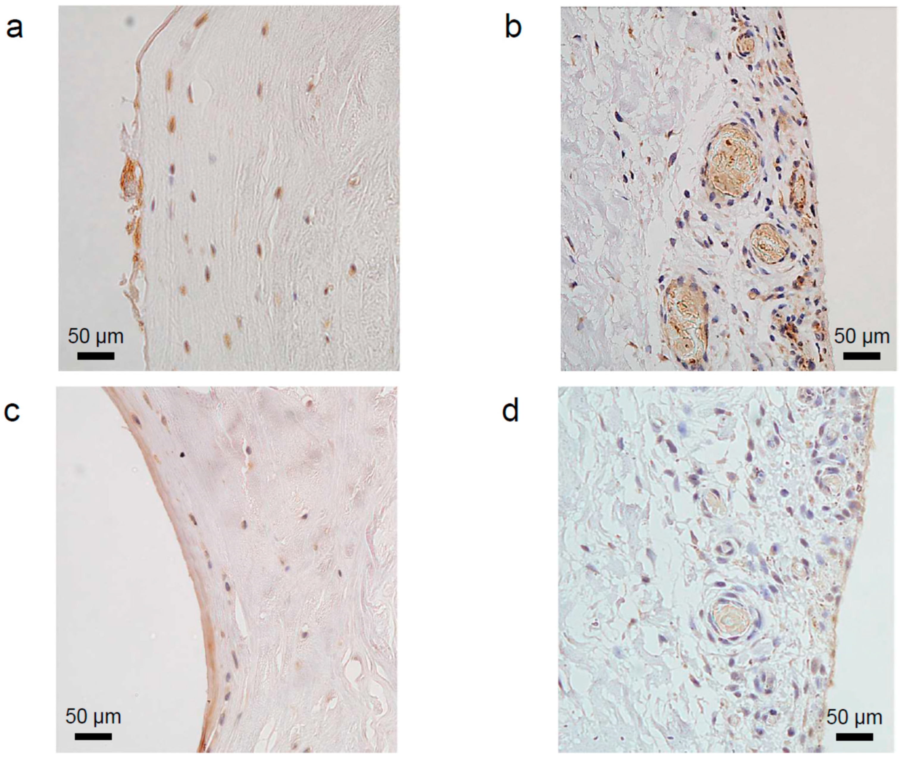 Ijms 24 02926 g001 550