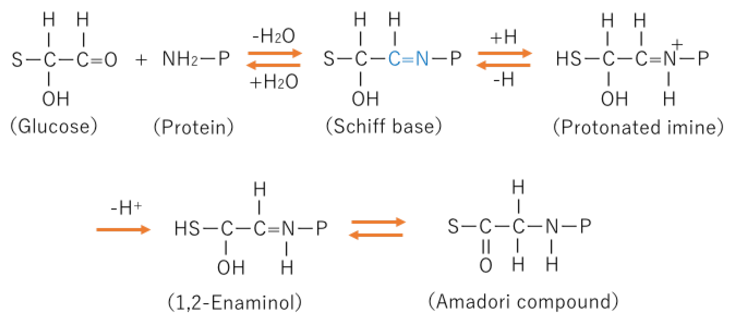 Ijms 24 02927 g001 Ijms 24 02927 g001