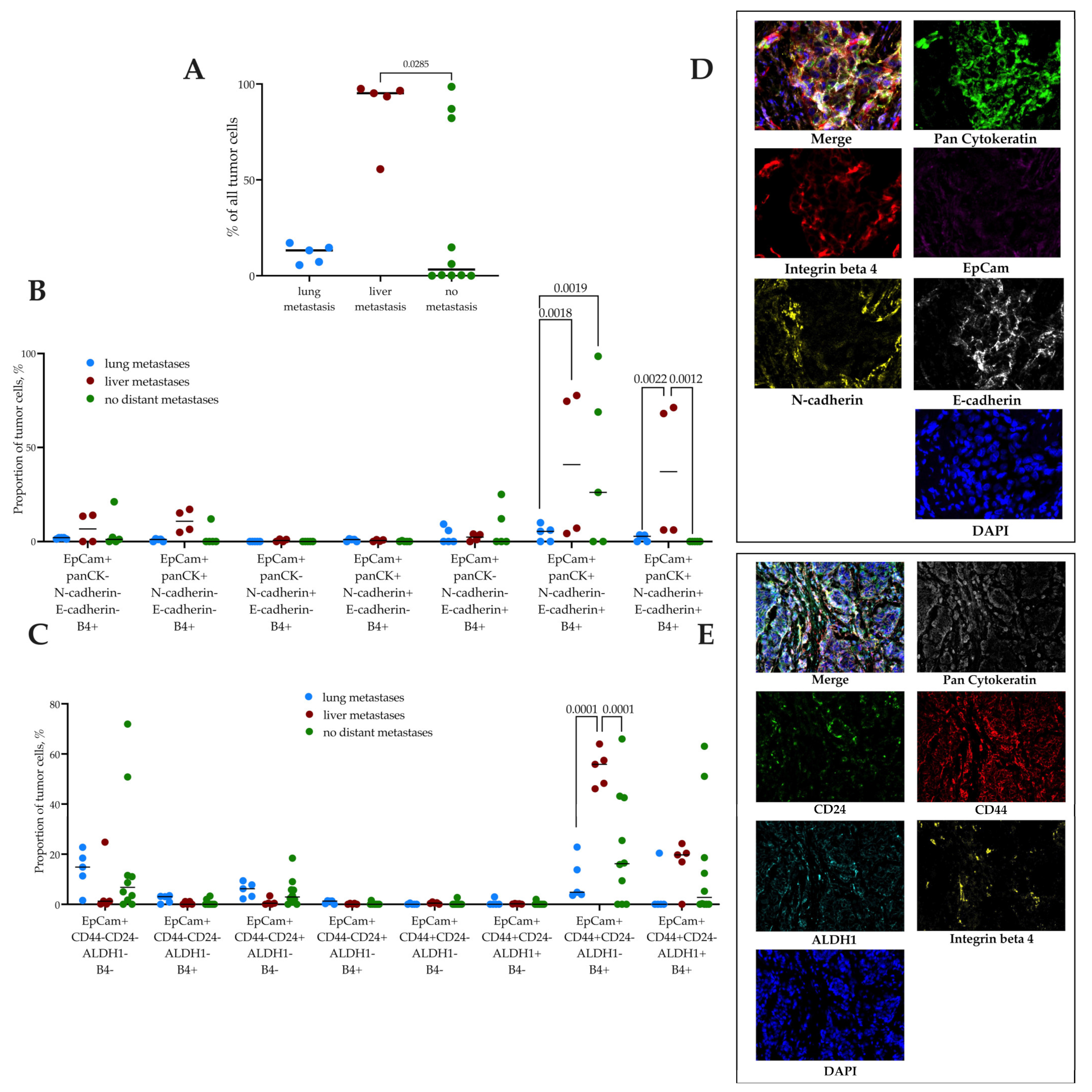 Ijms 24 02929 g003 550