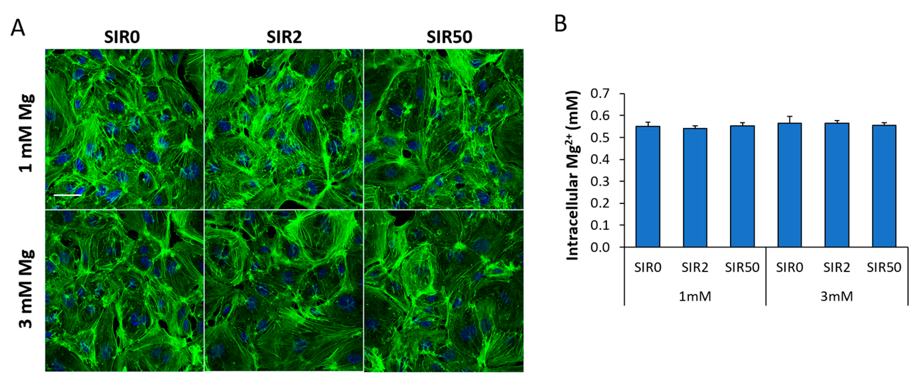 Ijms 24 02930 g002 Ijms 24 02930 g002