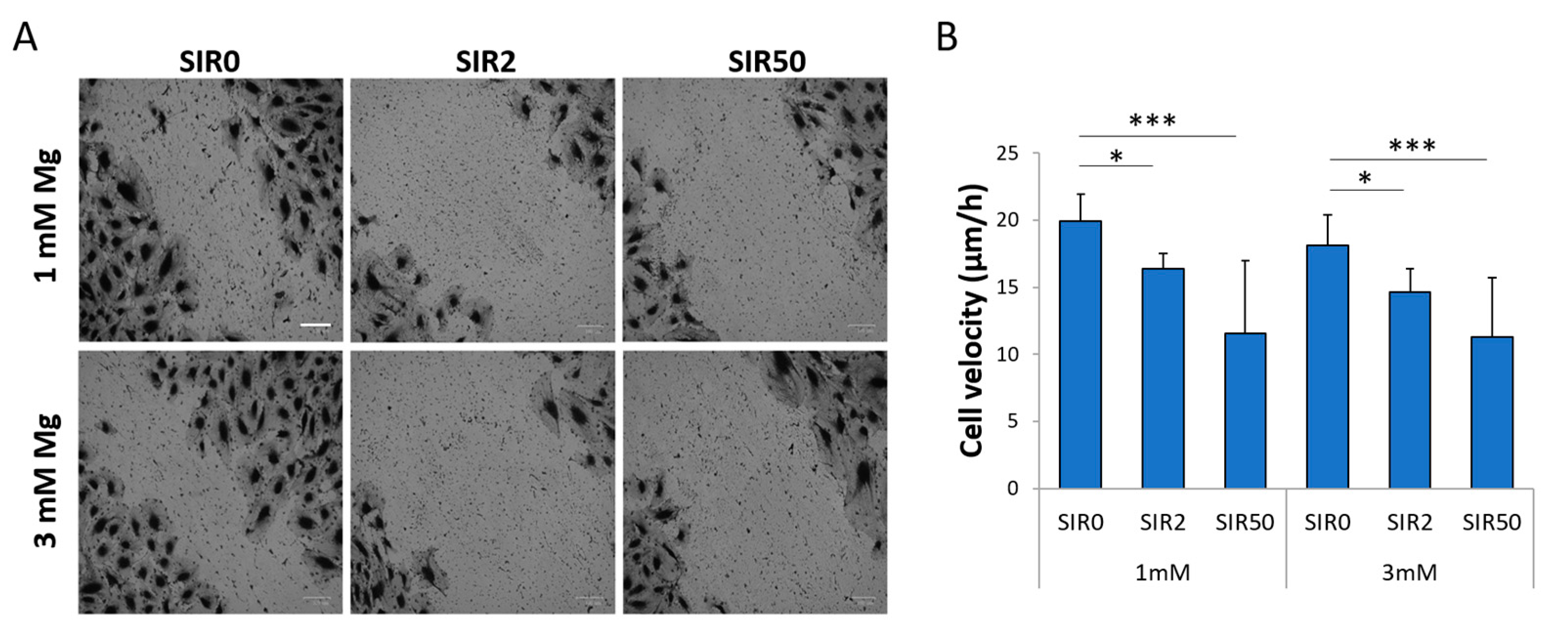 Ijms 24 02930 g003 Ijms 24 02930 g003
