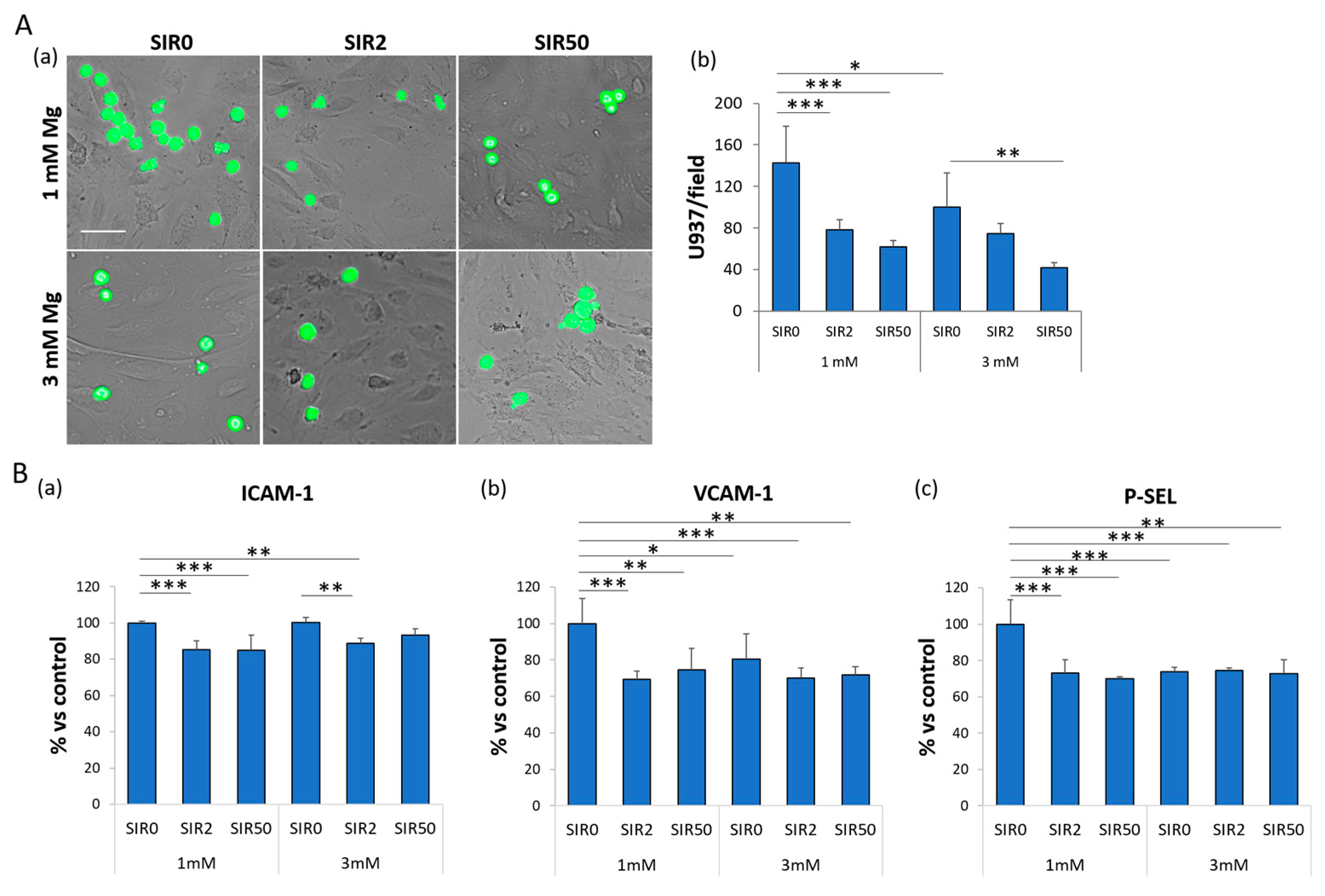 Ijms 24 02930 g004 Ijms 24 02930 g004