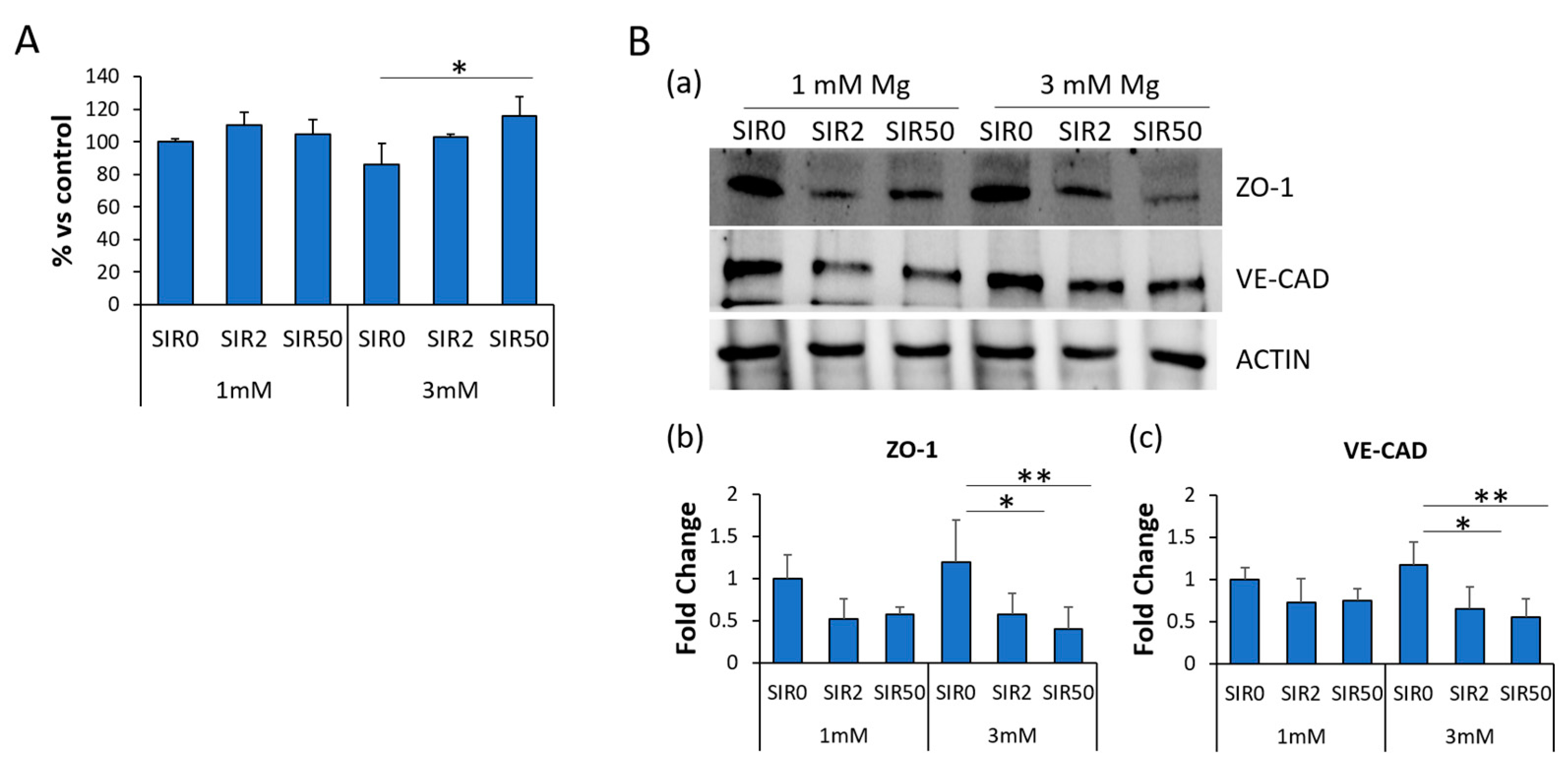 Ijms 24 02930 g005 Ijms 24 02930 g005