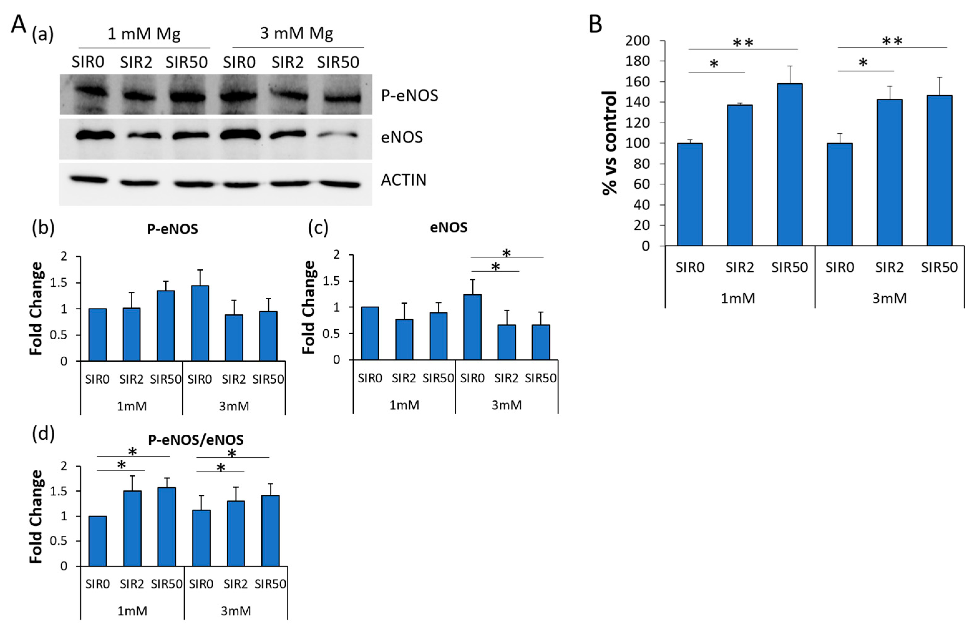 Ijms 24 02930 g007 Ijms 24 02930 g007