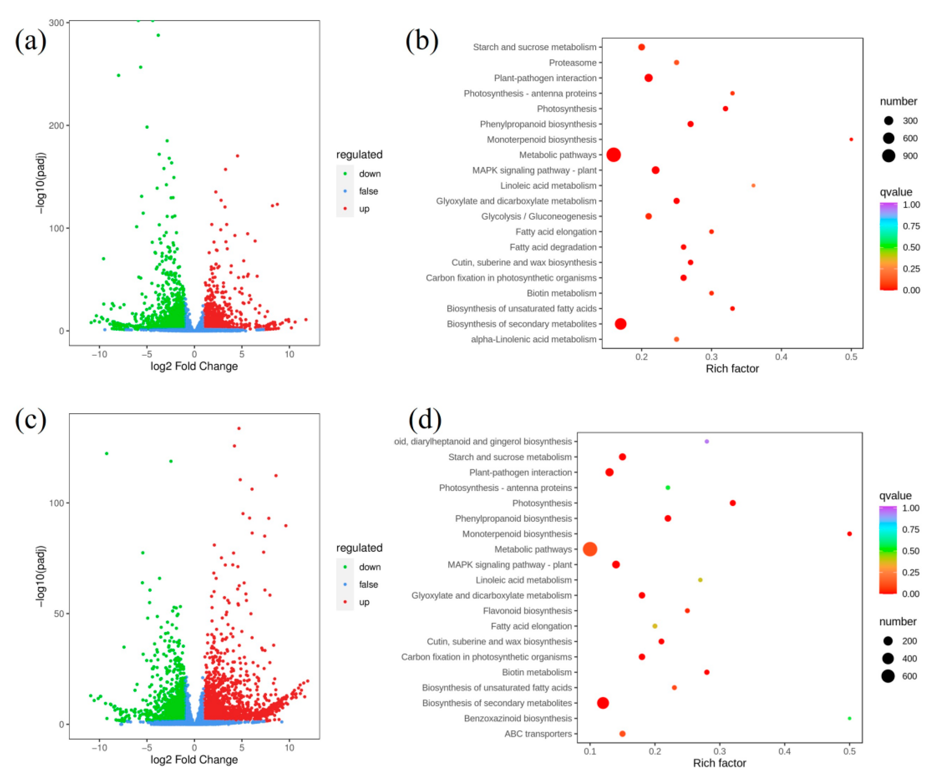 Ijms 24 02934 g005 Ijms 24 02934 g005
