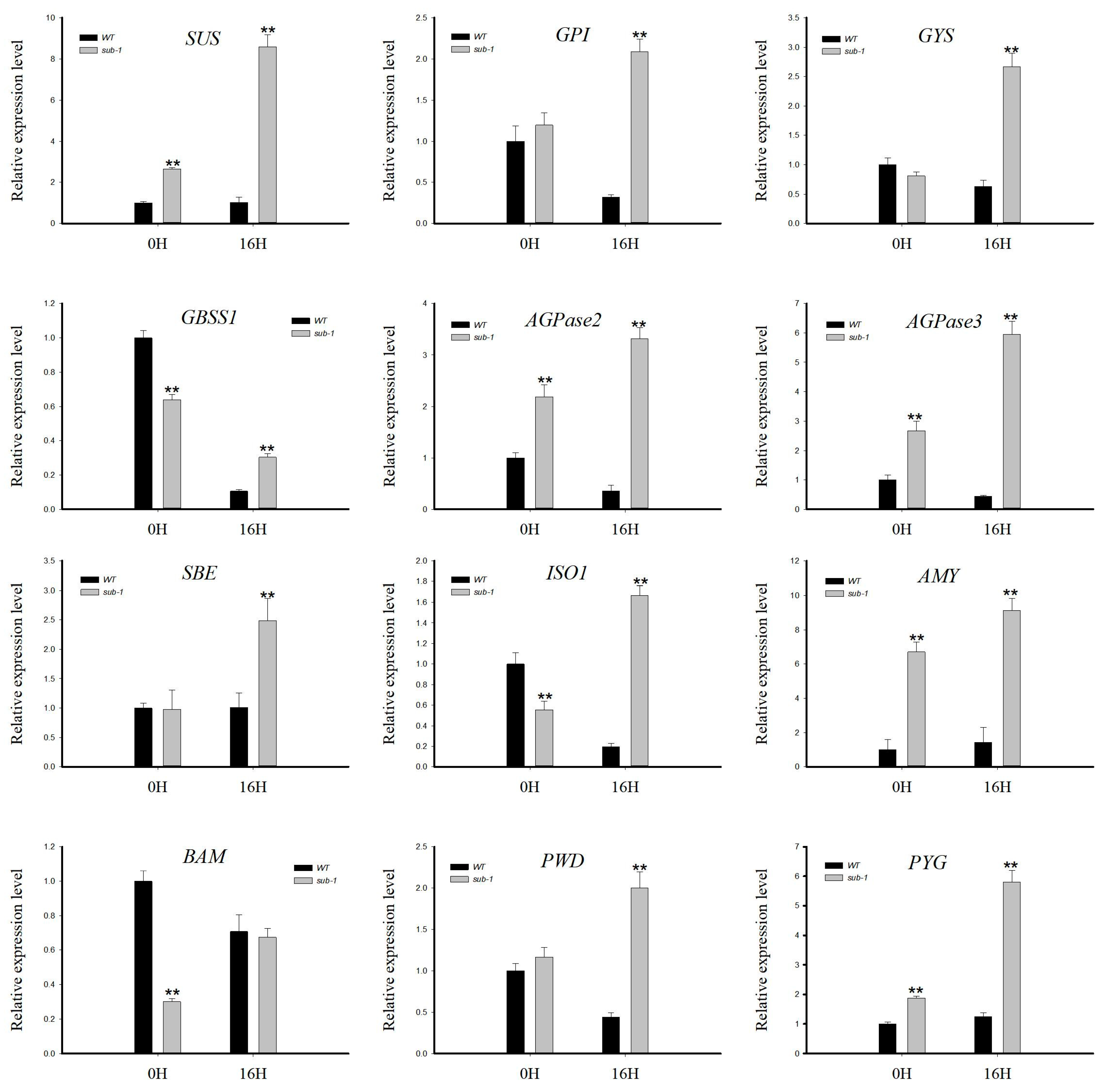 Ijms 24 02934 g006 Ijms 24 02934 g006