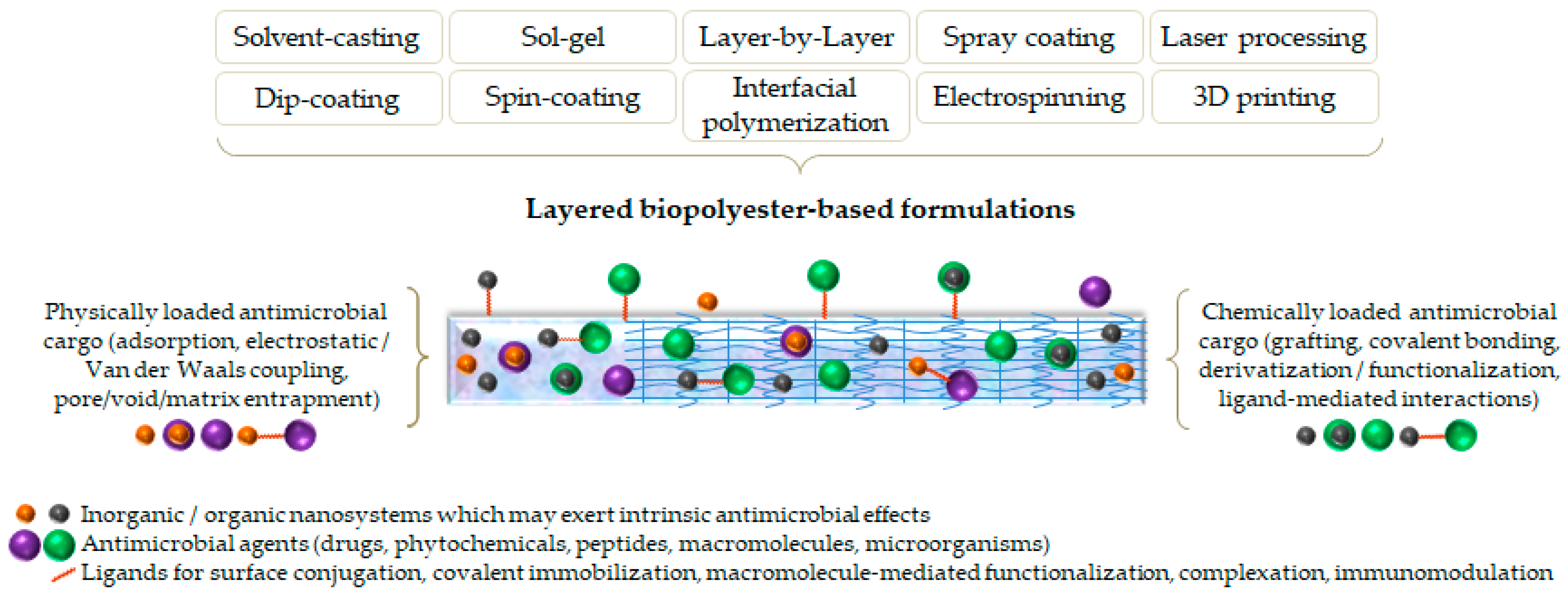 Ijms 24 02945 g003 Ijms 24 02945 g003