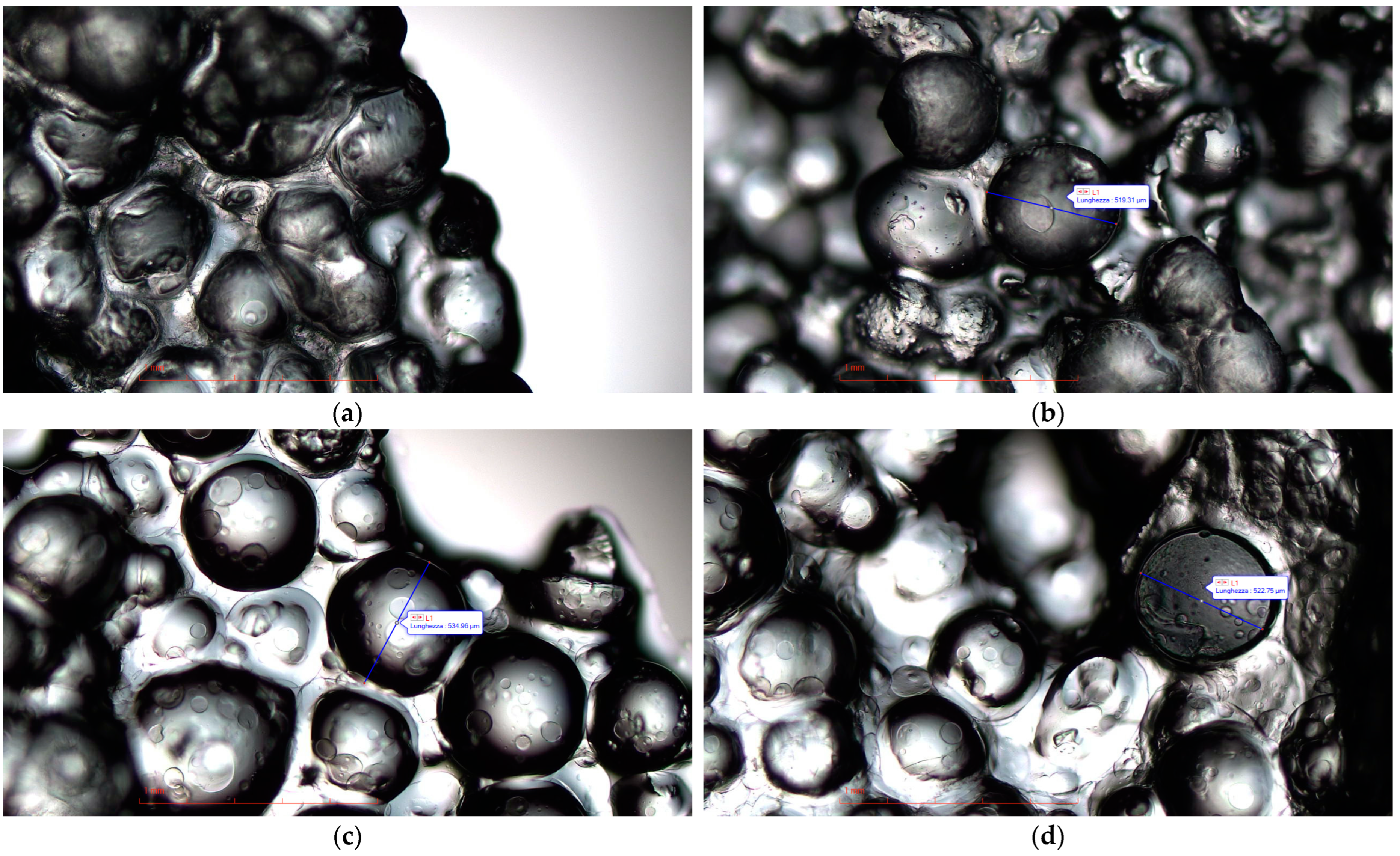 Ijms 24 02948 g003 550